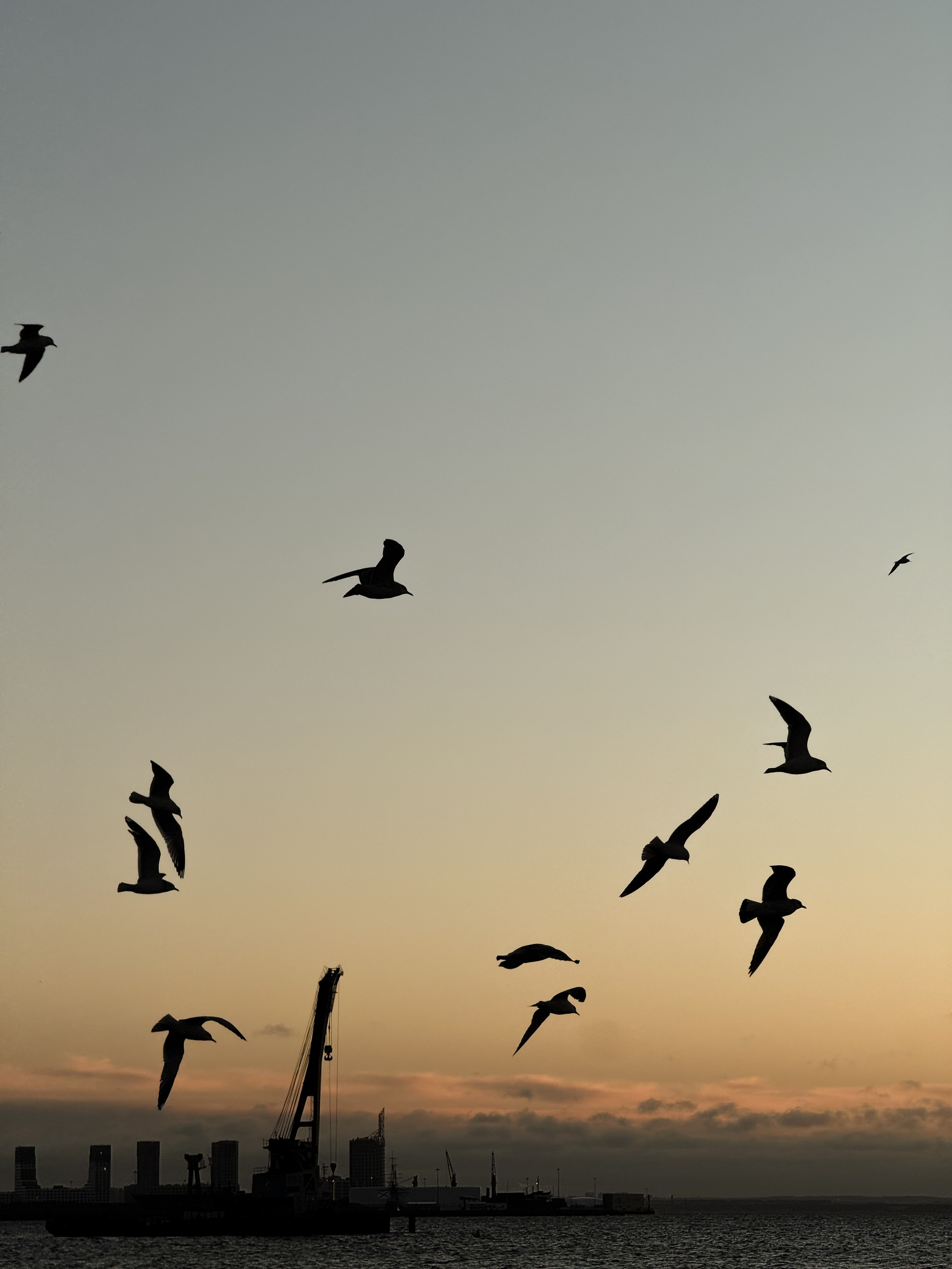 Все вокруг. Фотограф в Санкт-Петербурге / Красноярске Надежда Самошкина