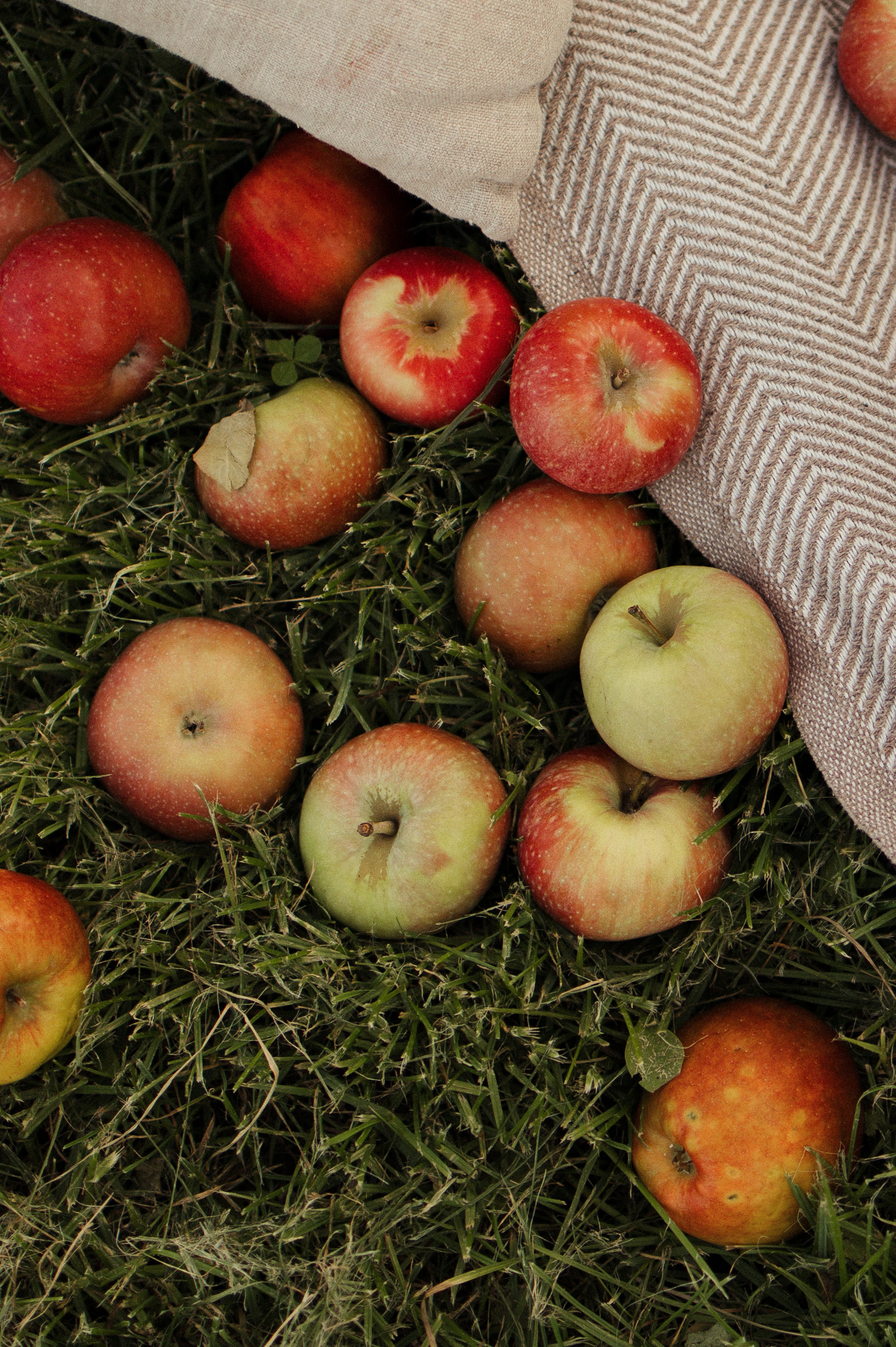 Первый день рождения. Фотограф в Выборге и Санкт-Петербурге Маша Гуляева