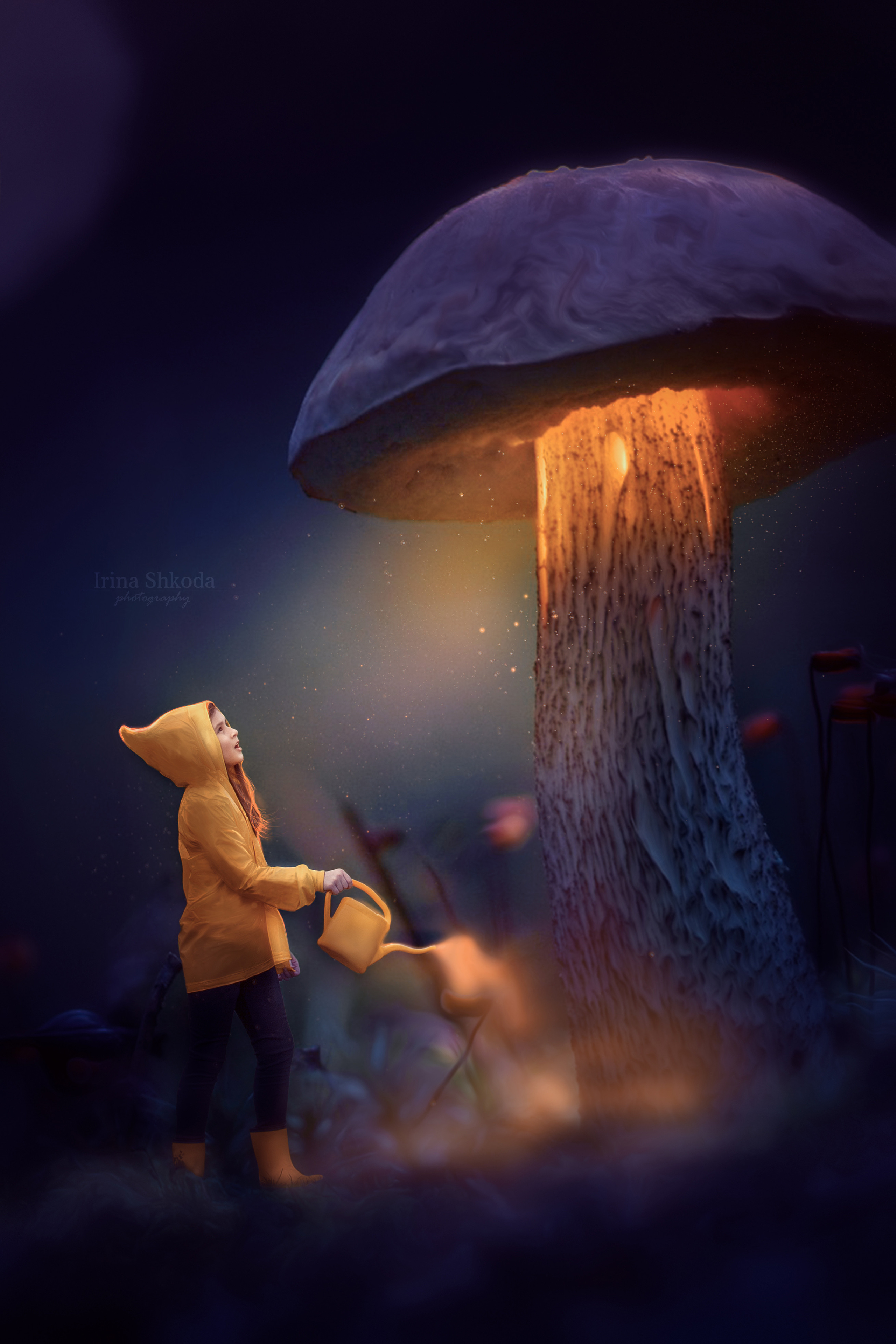 Фотограф в Волгодонске Ирина Шкода