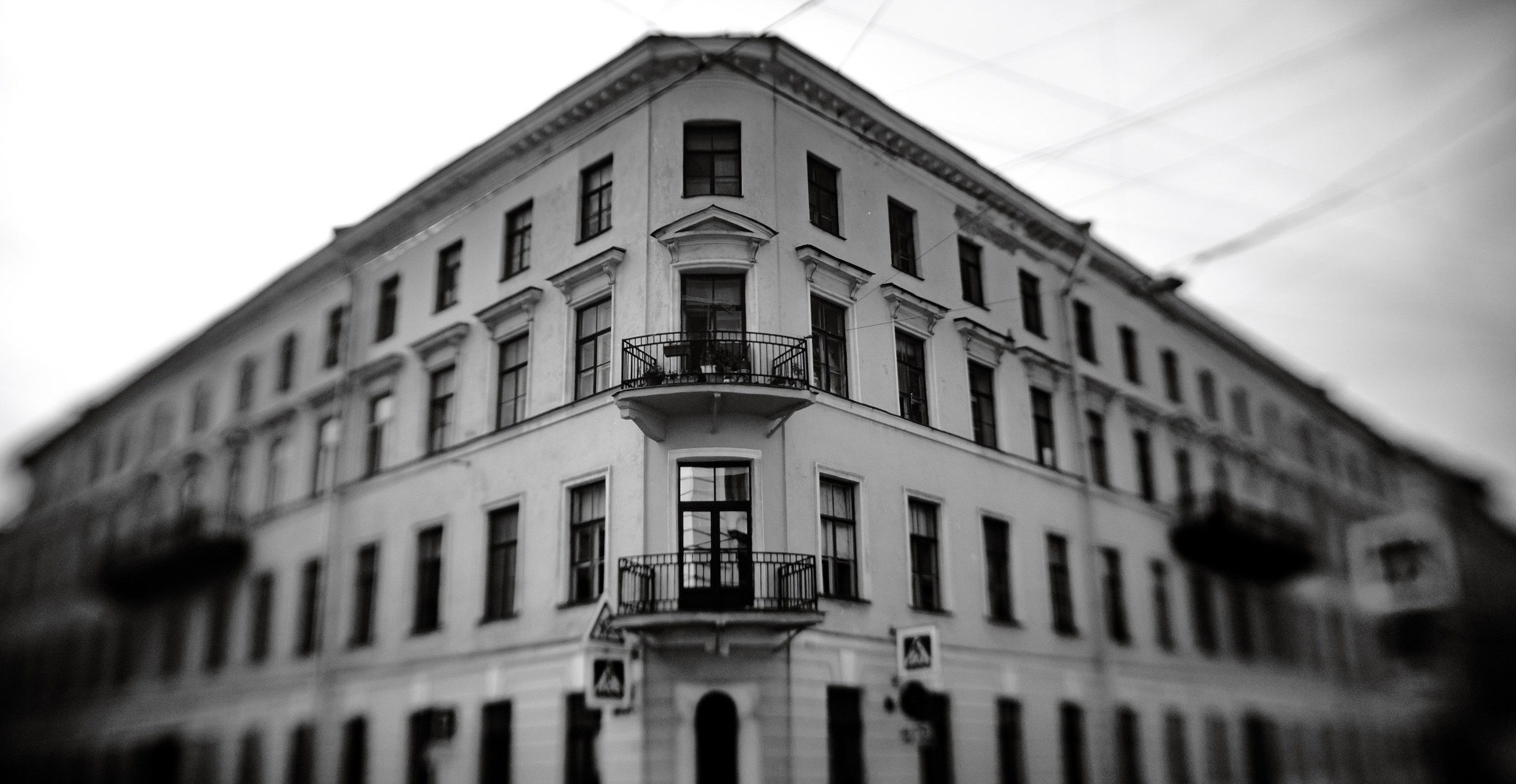 Saint Petersburg. The Andris