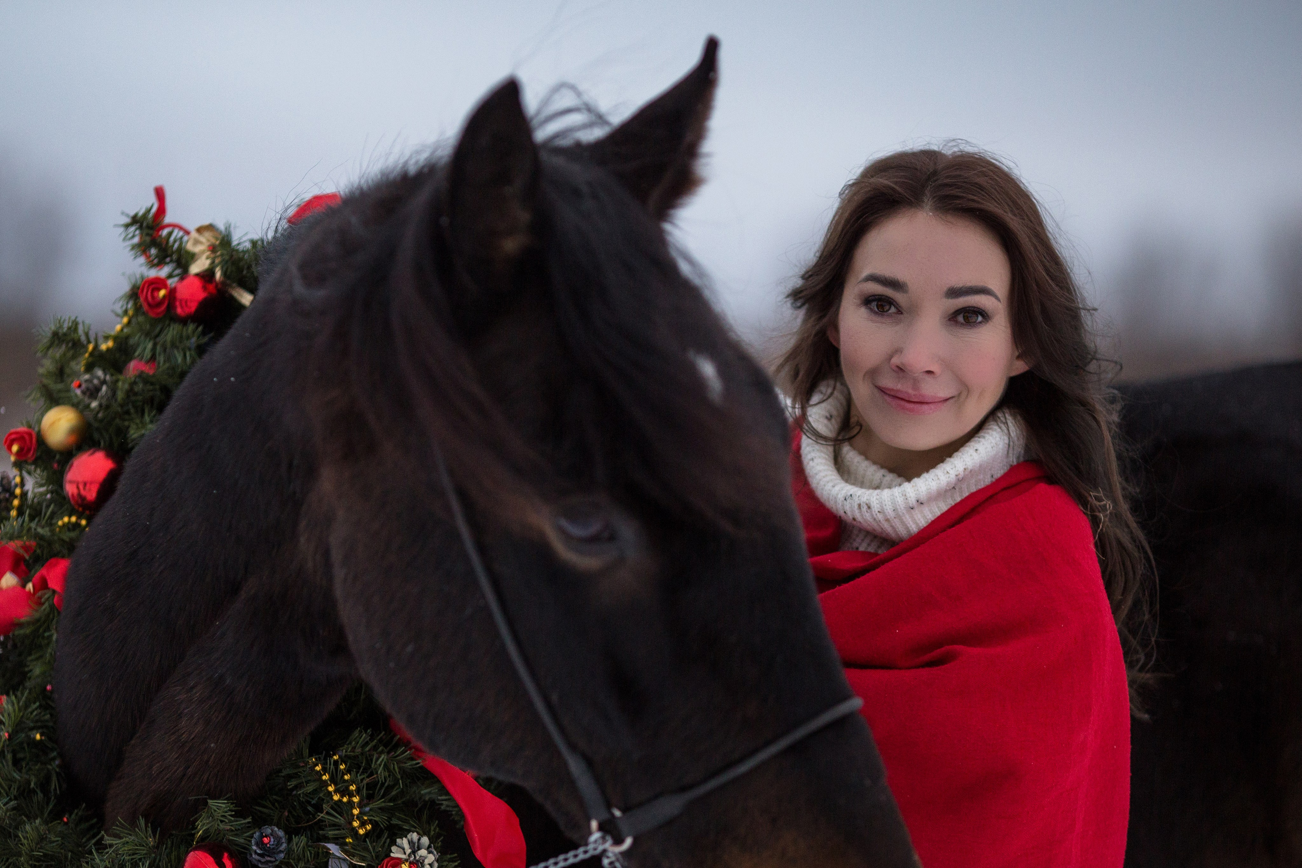 Новогодняя фотосессия с лошадью в Архангельске