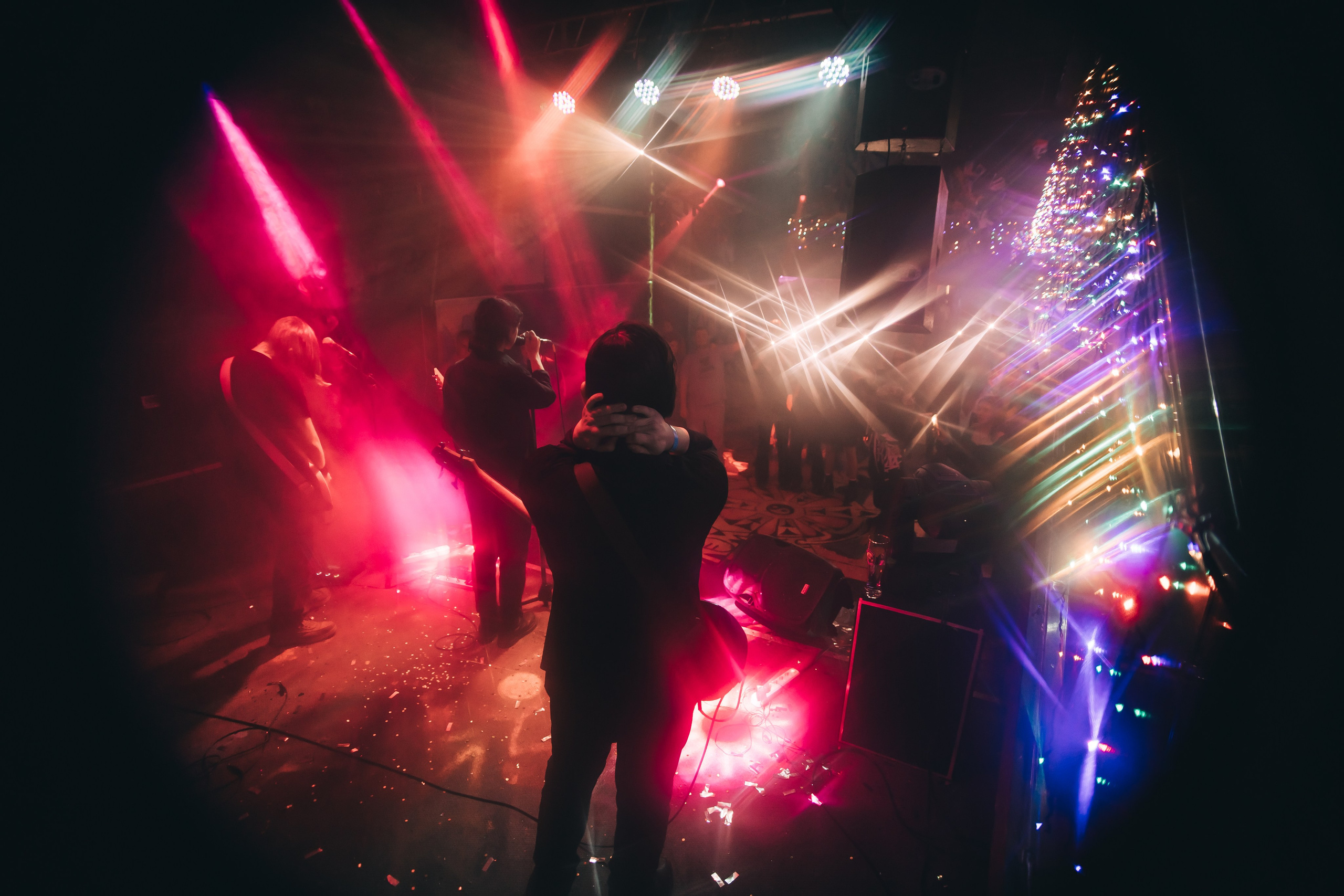 Rose park. Рок-опохмелки, клуб-галерея Эрмитаж. 06.01.2025. Фотограф Регина Крикунова г. Красноярск