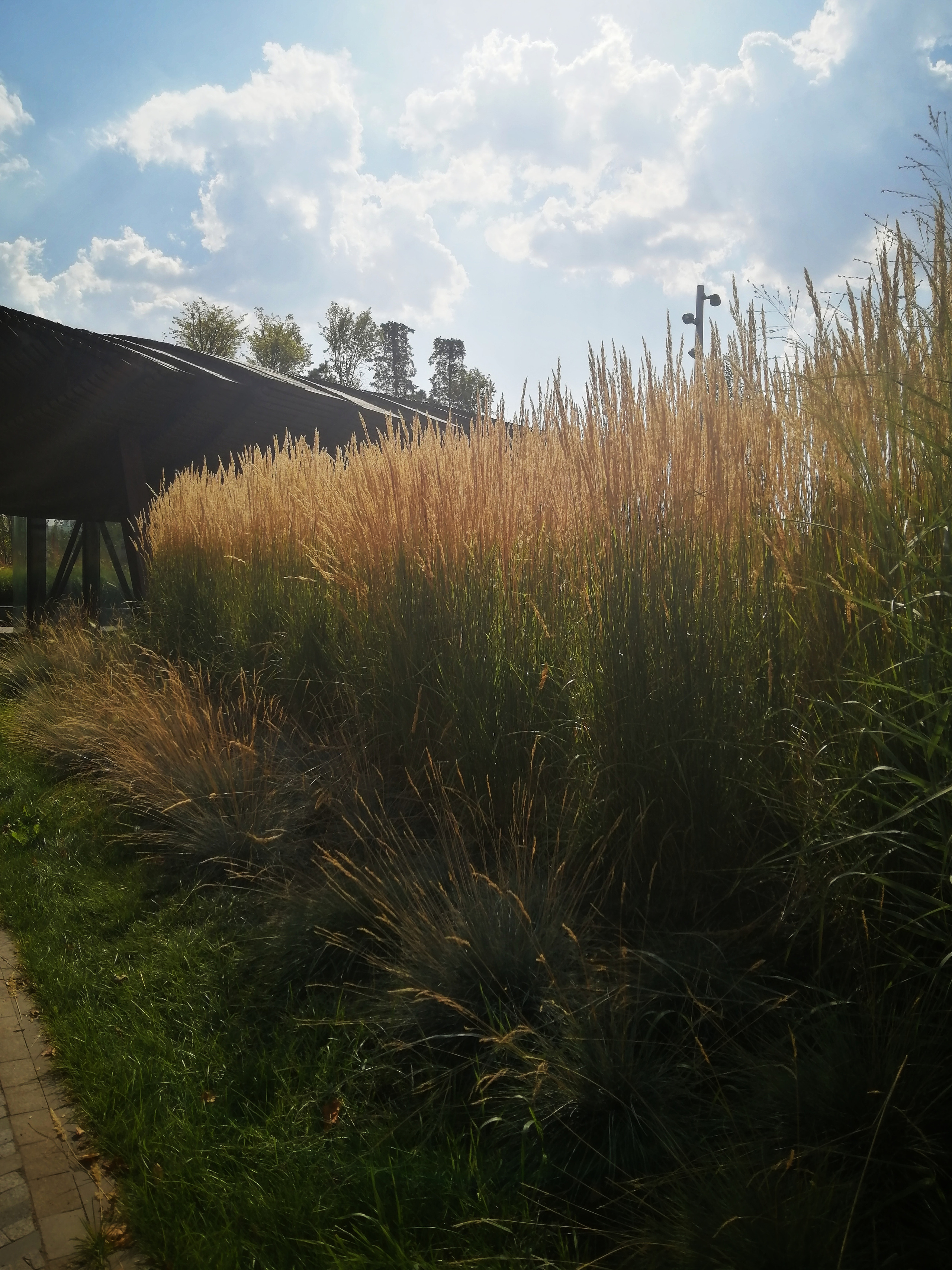 ЛОКАЦИИ. Екатерина Макарова Фотограф Москва