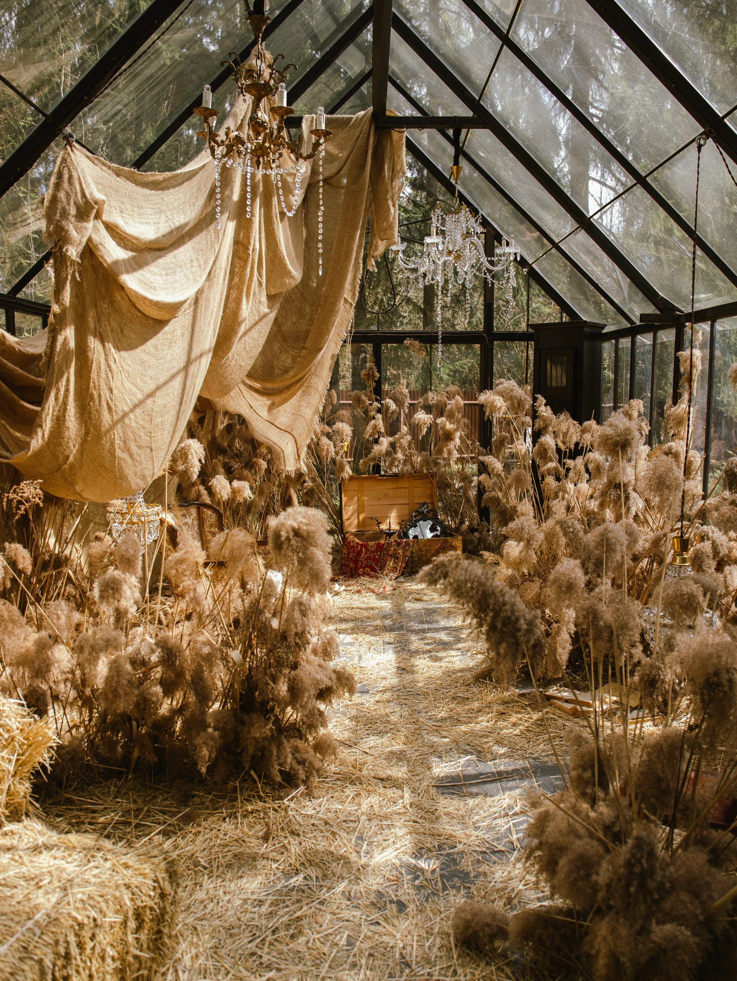 История со скрипкой. Свадебный и семейный фотограф в Москве Мила Широких