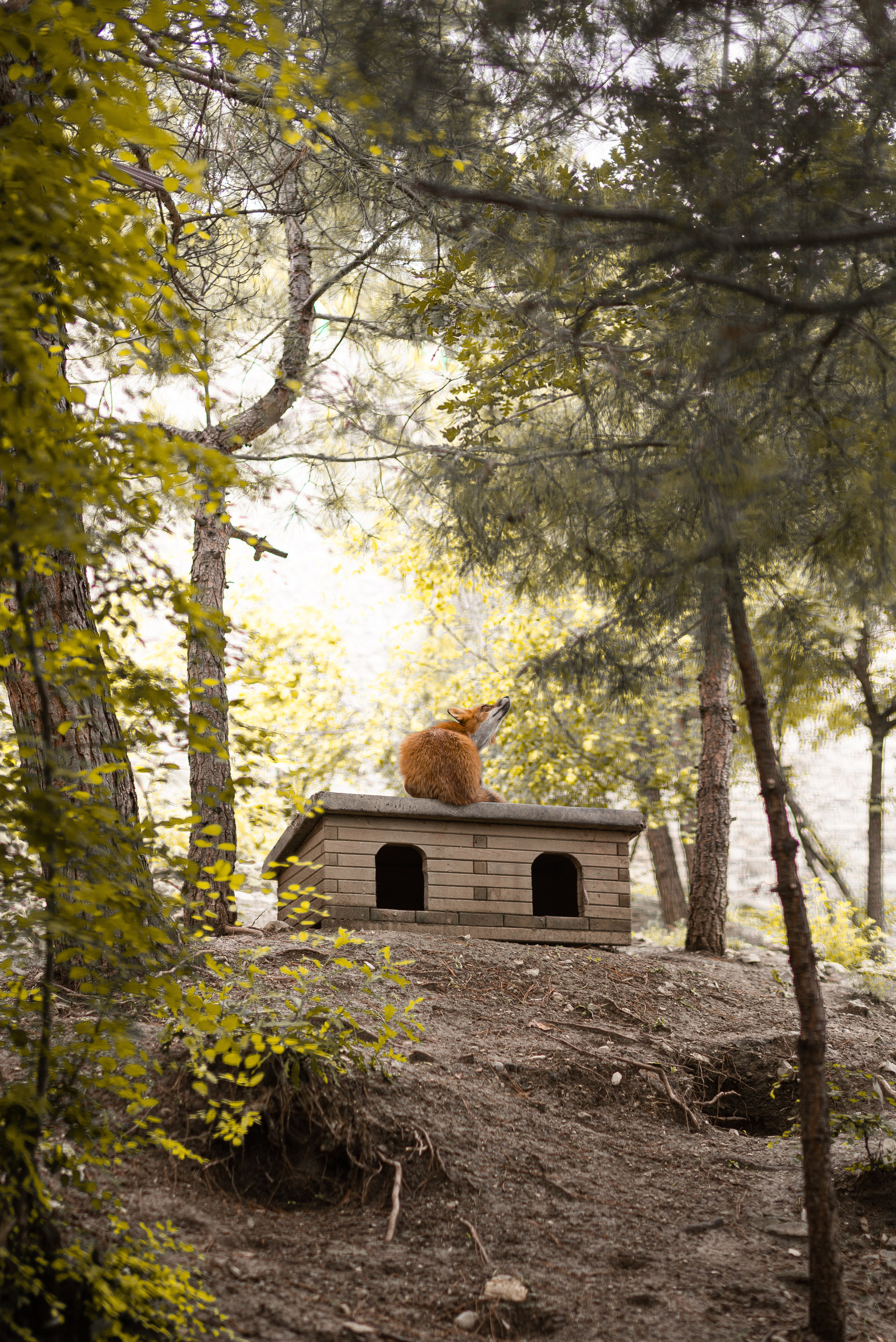 Июнь–Июль Отпуск Белореченск, Геленджик. Семейный, Свадебный фотограф СПБ Питер— Романова Екатерина