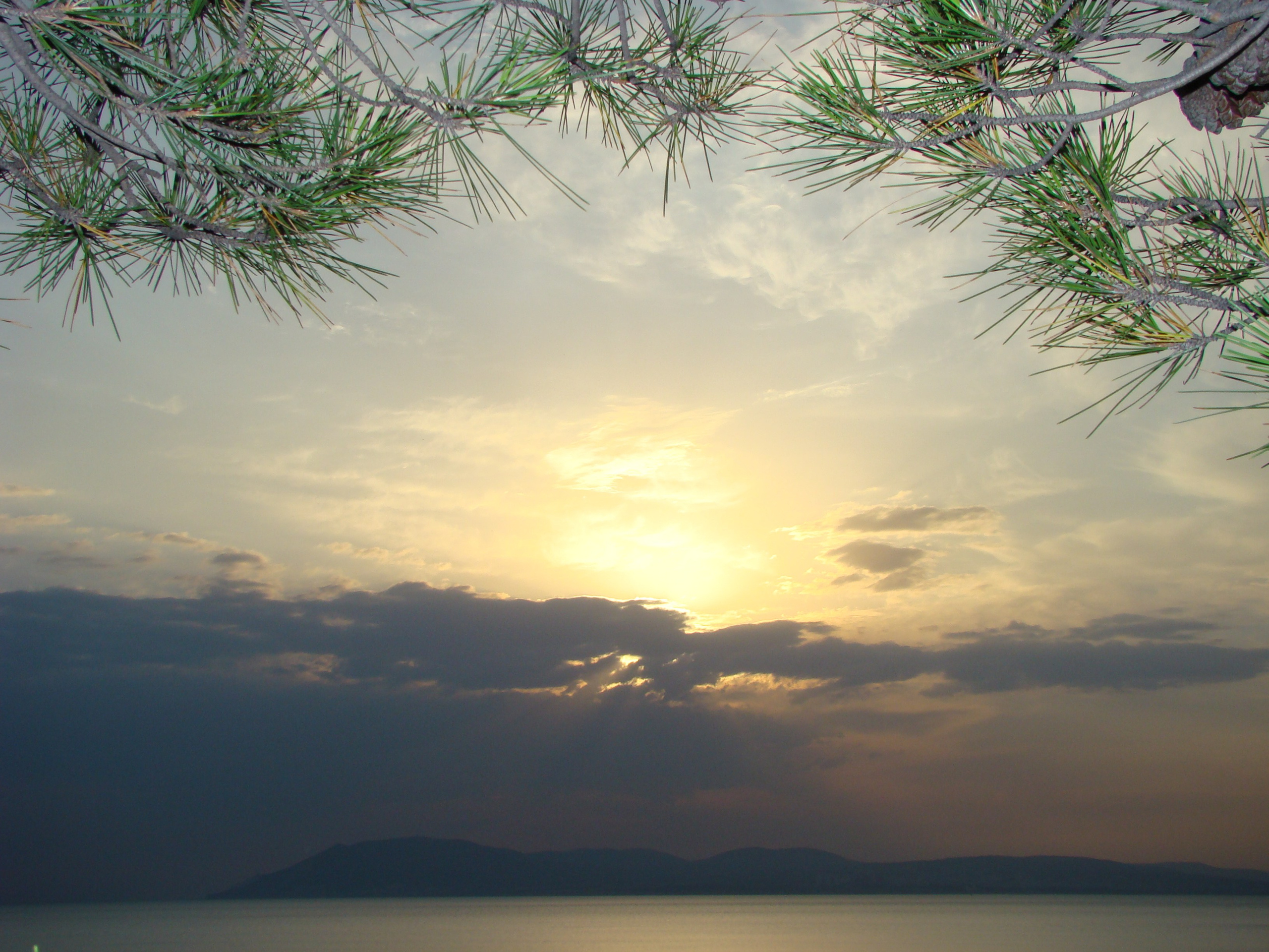 Кабардинка (фото Зевиных) 25.06-24.07.2008. Семейный, Свадебный фотограф СПБ Питер— Романова Екатерина