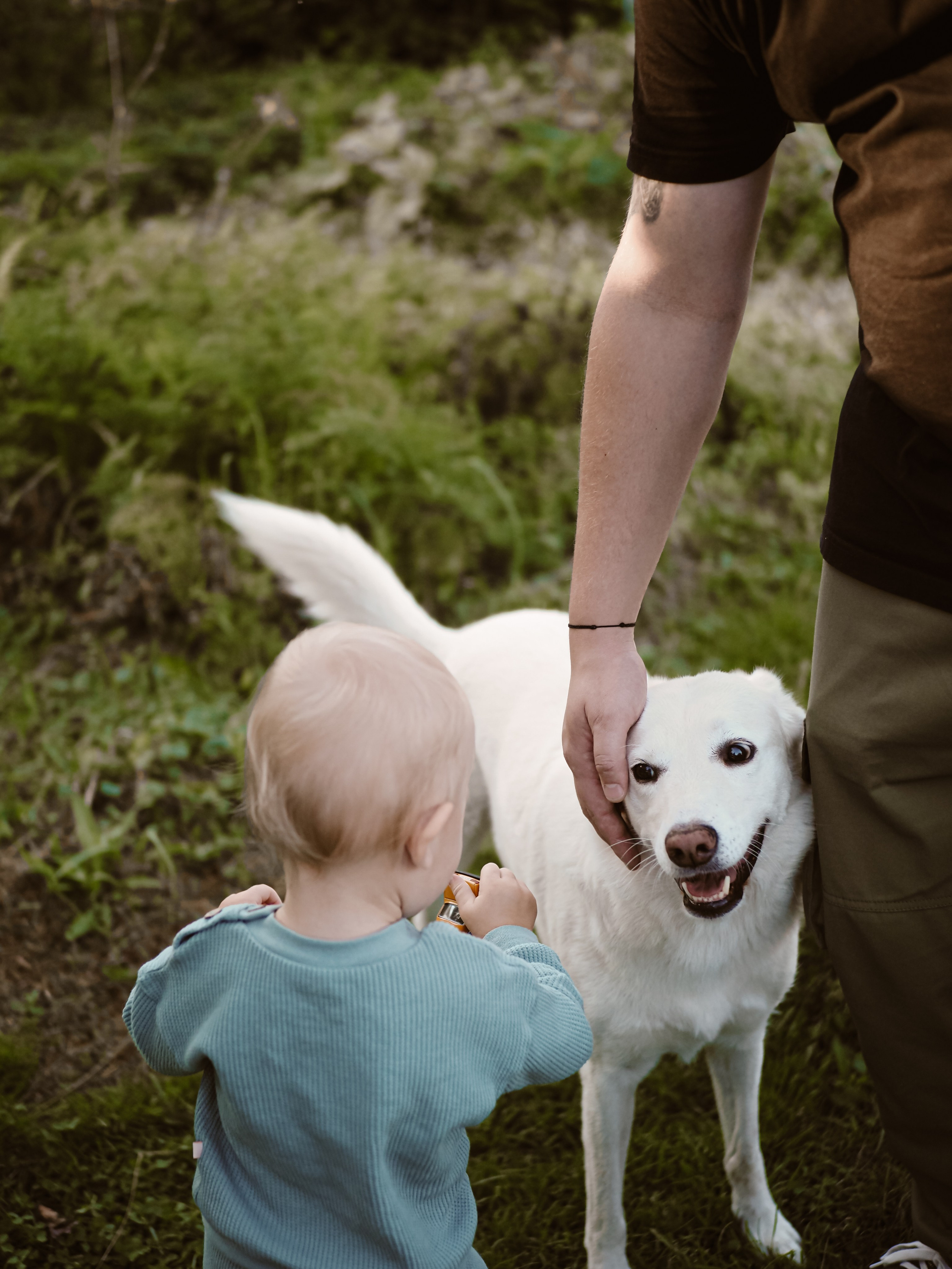 Поколения. Фотограф Рязань. Семейный Свадебный фотограф