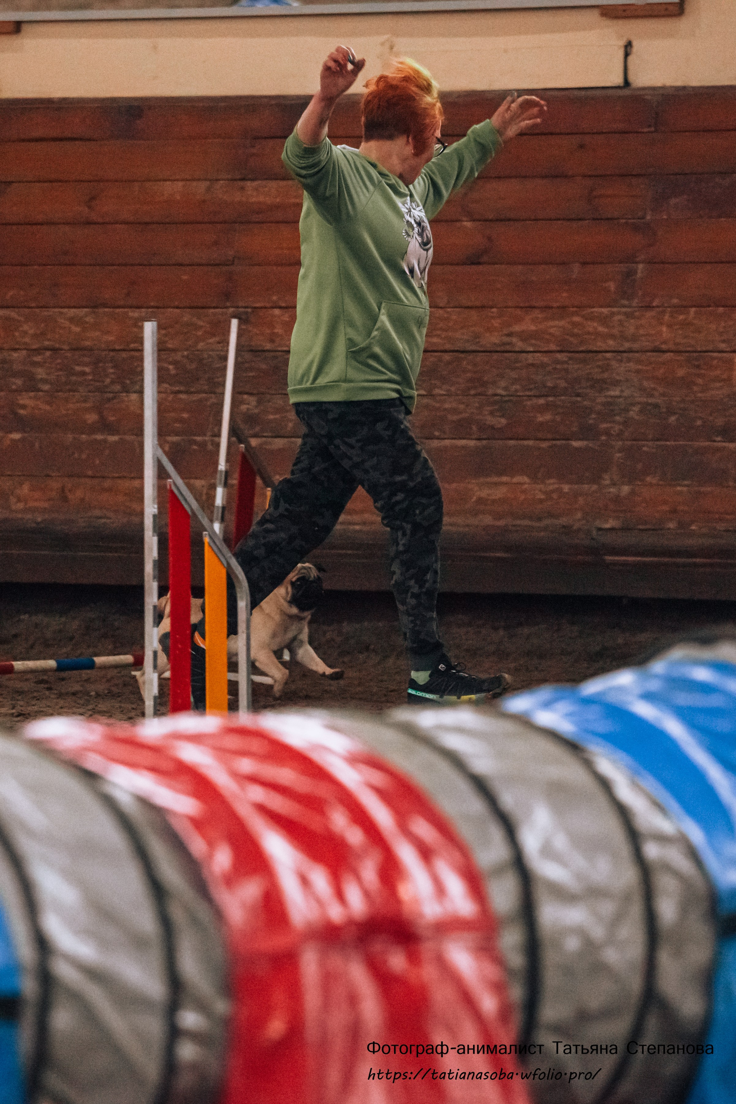 Соревнования по Аджилити 25.02.2024. Фотограф-анималист Татьяна Степанова