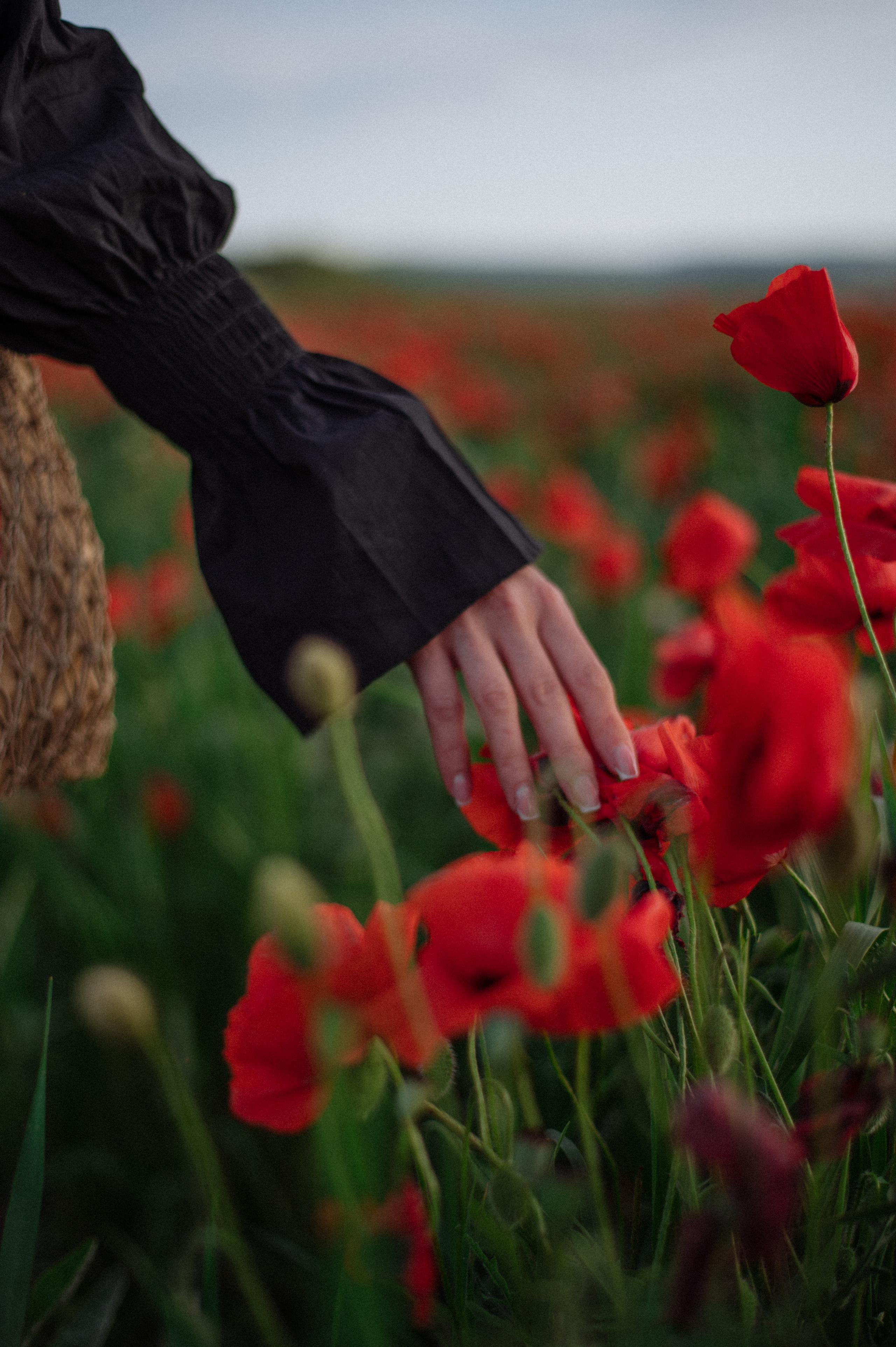 Марина. Фотограф в Севастополе — Ольга Максименко