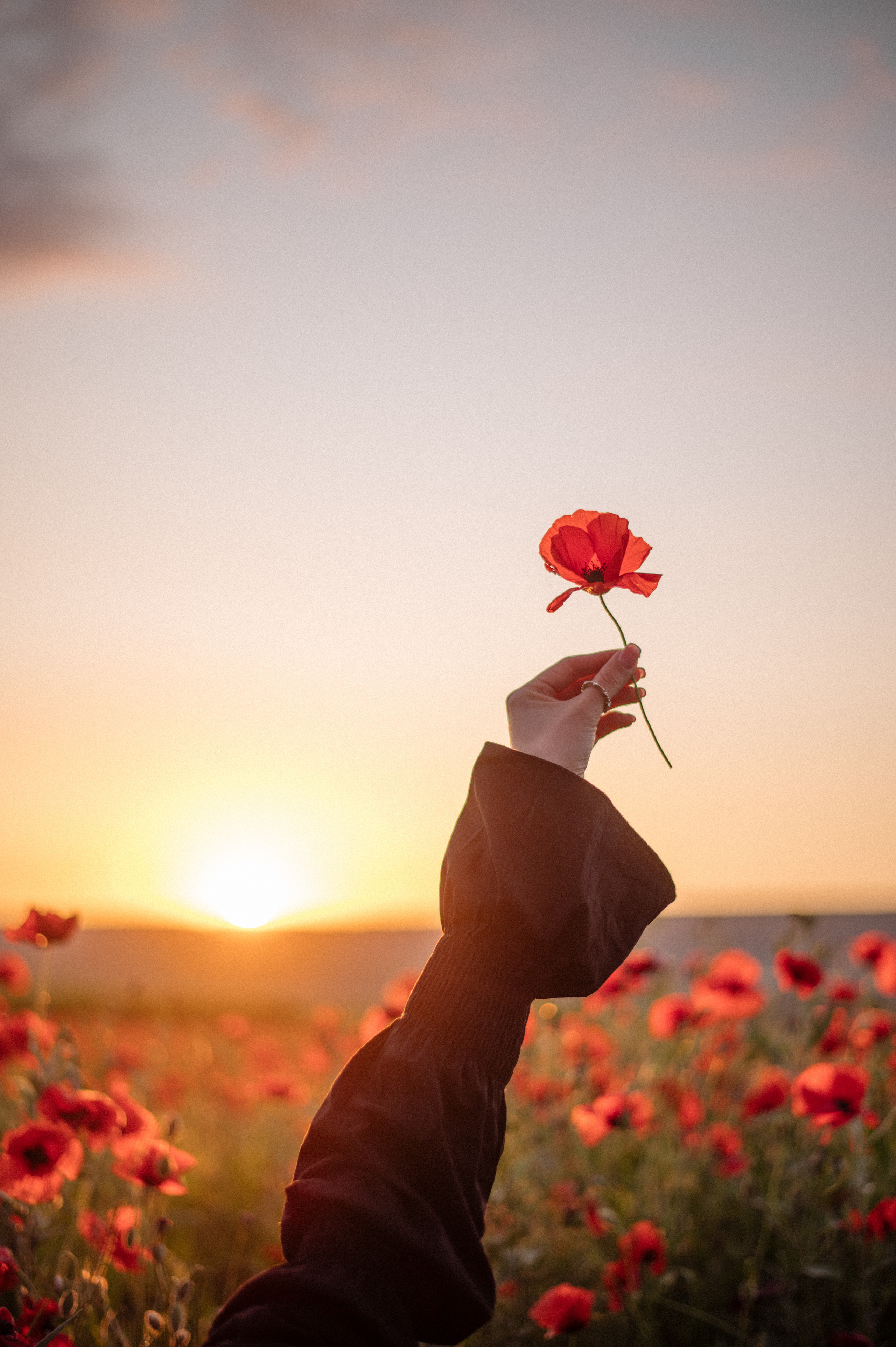 Марина. Фотограф в Севастополе — Ольга Максименко