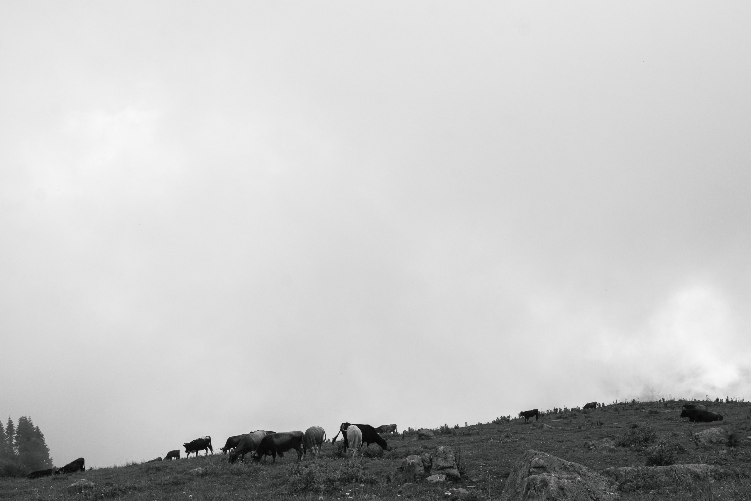 Милость гор. Портфолио фотографа Анастасии Блохиной