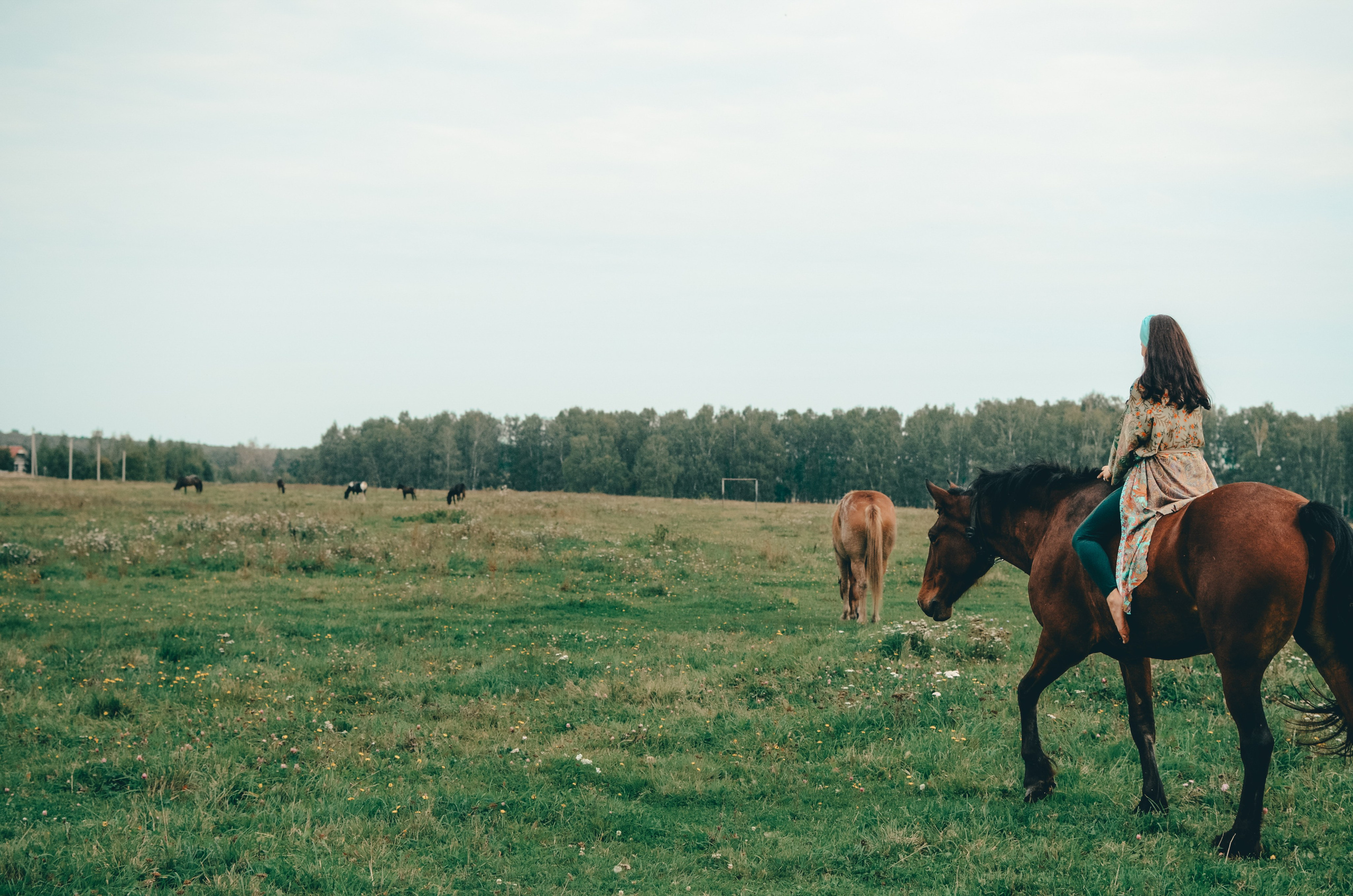 Love story. Семейный фотограф г. Москва