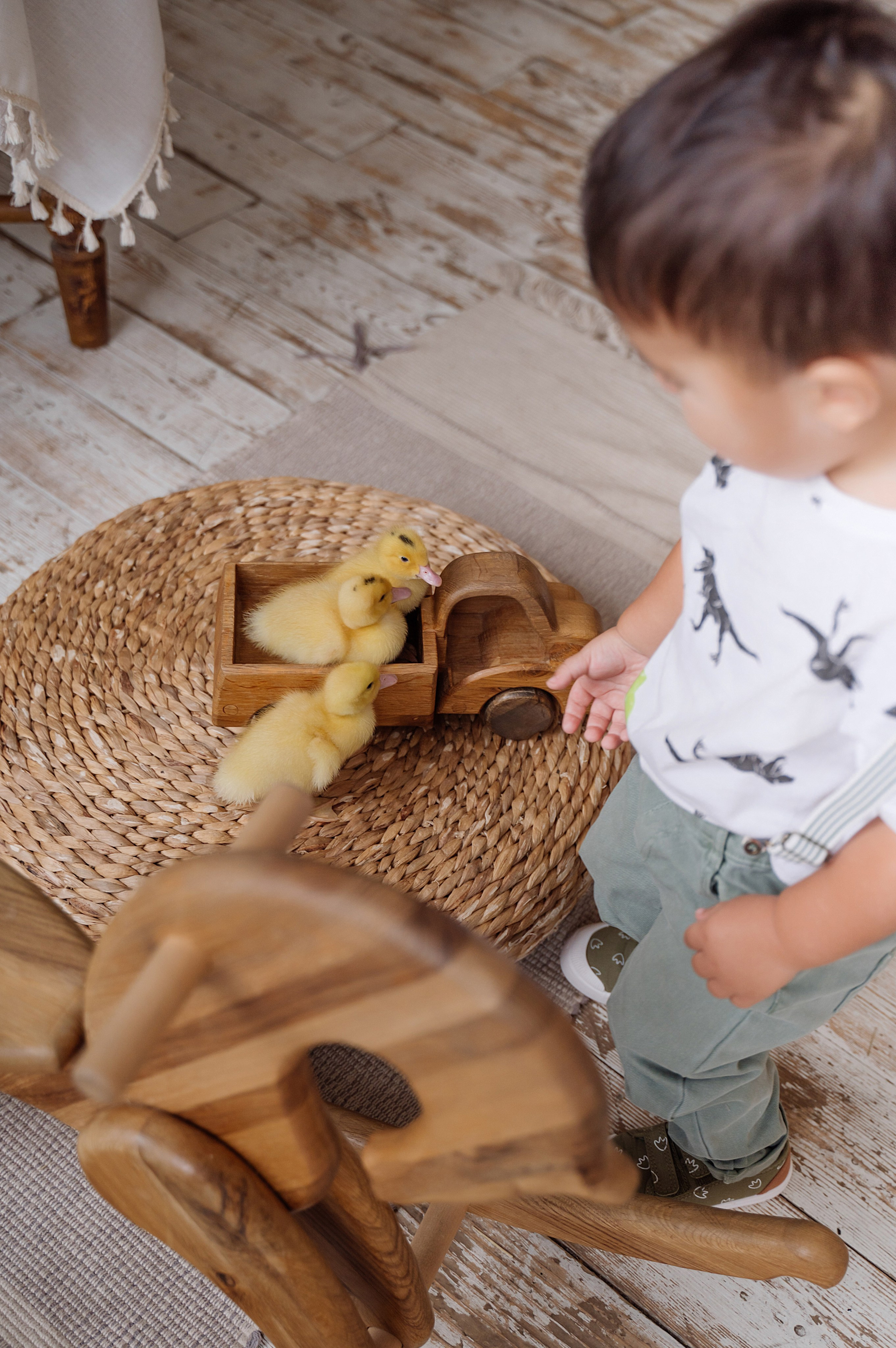 Семейная фотосессия с уточками. Свадебный фотограф