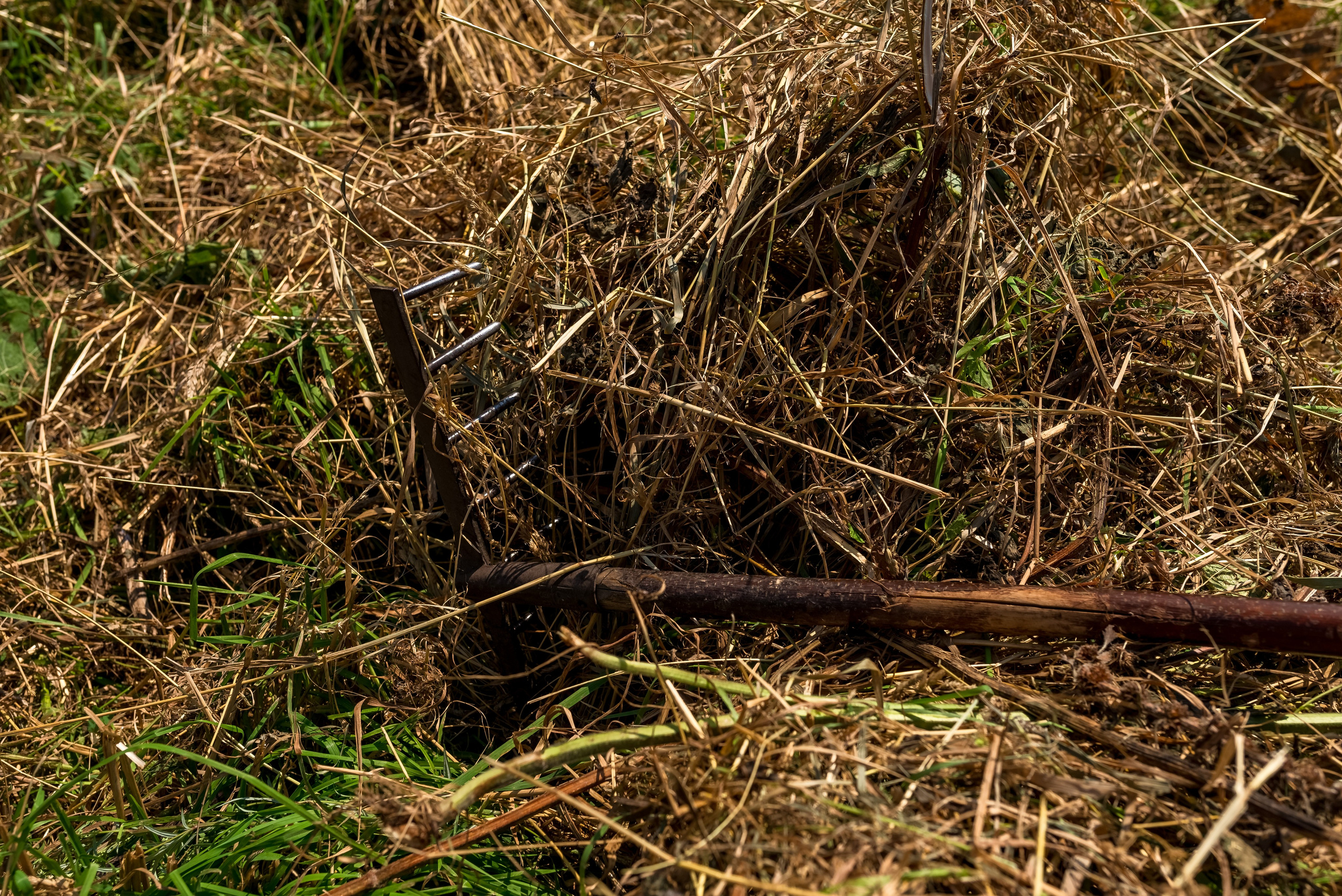 Деревня Барышье. Женский фотограф Крещение Венчание Москва Брянск