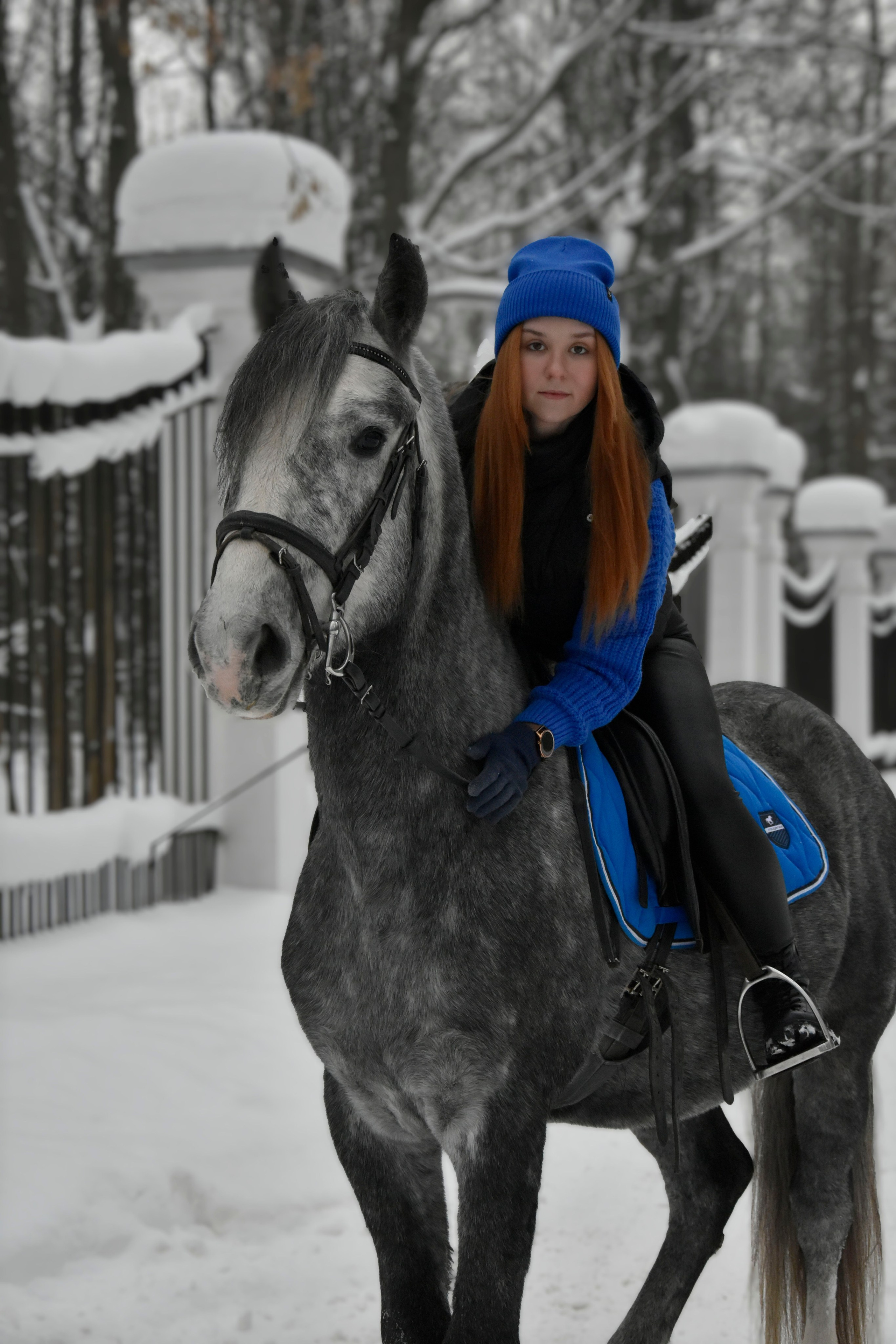 Владислава и Хантер. Фотосессия. Конный фотограф Москва