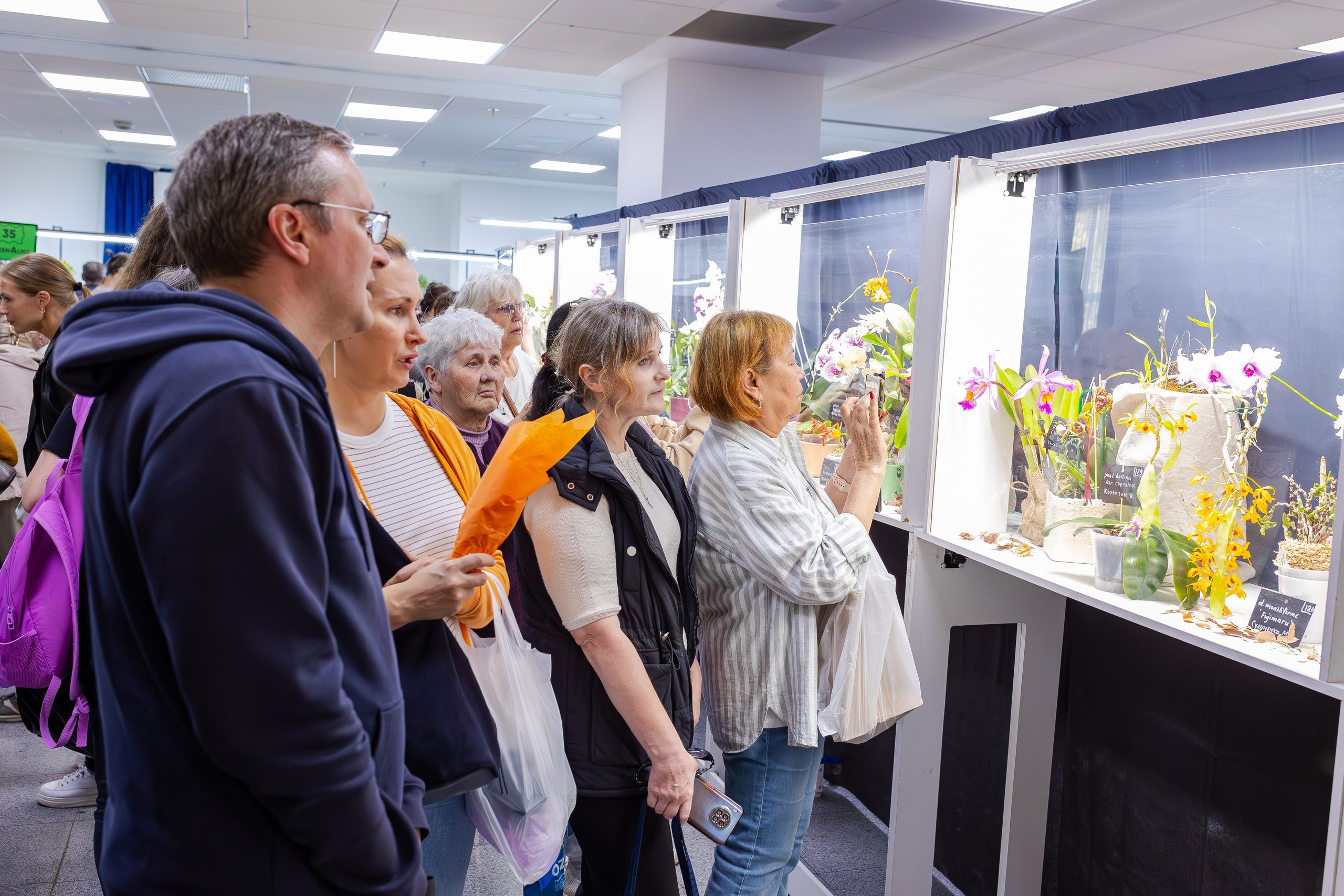 Орхидиум сентябрь 2025. Александра Куликова фотограф, Москва