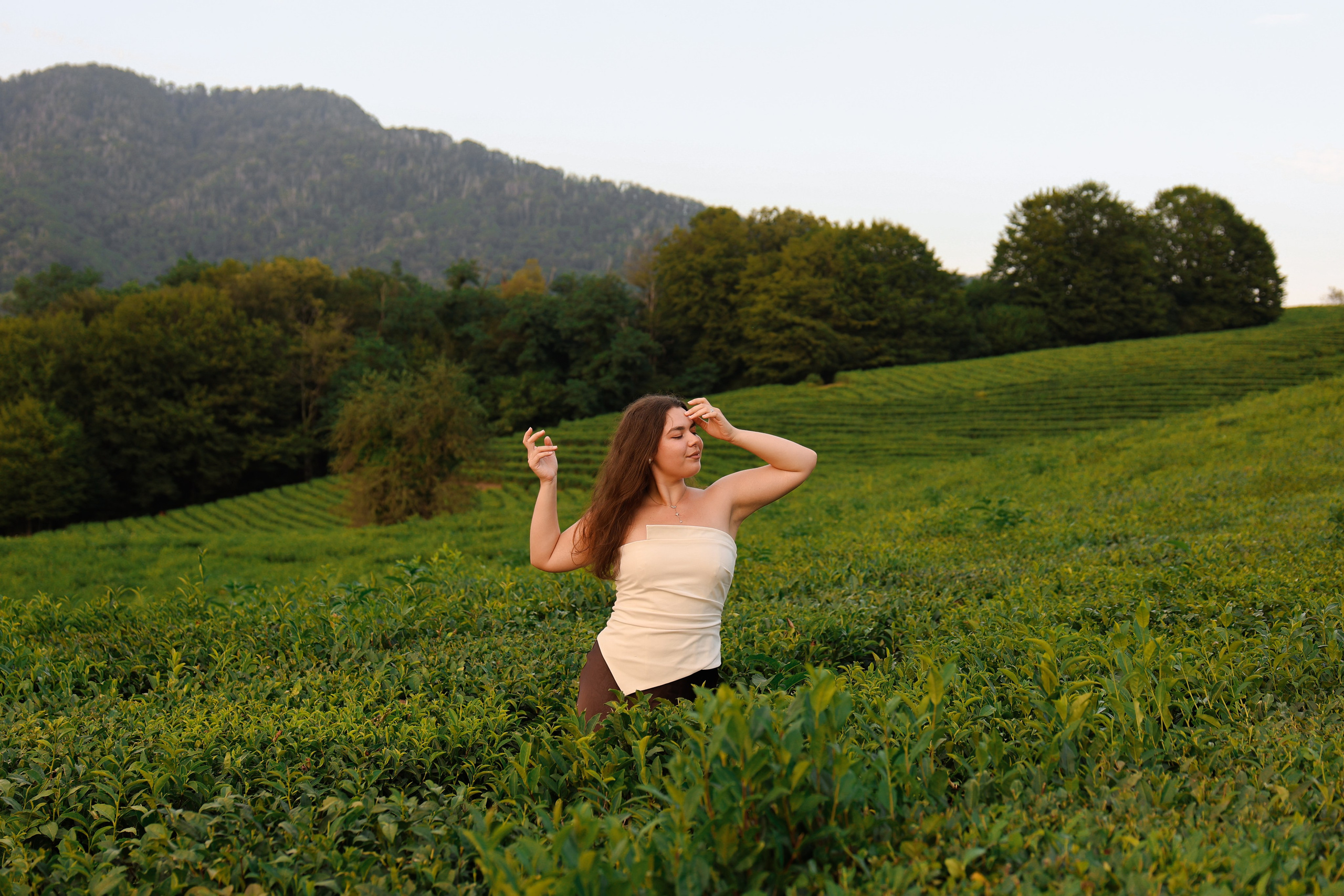 ЧАЙНЫЕ ПЛАНТАЦИИ. Фотограф Москва Оля Олбимак