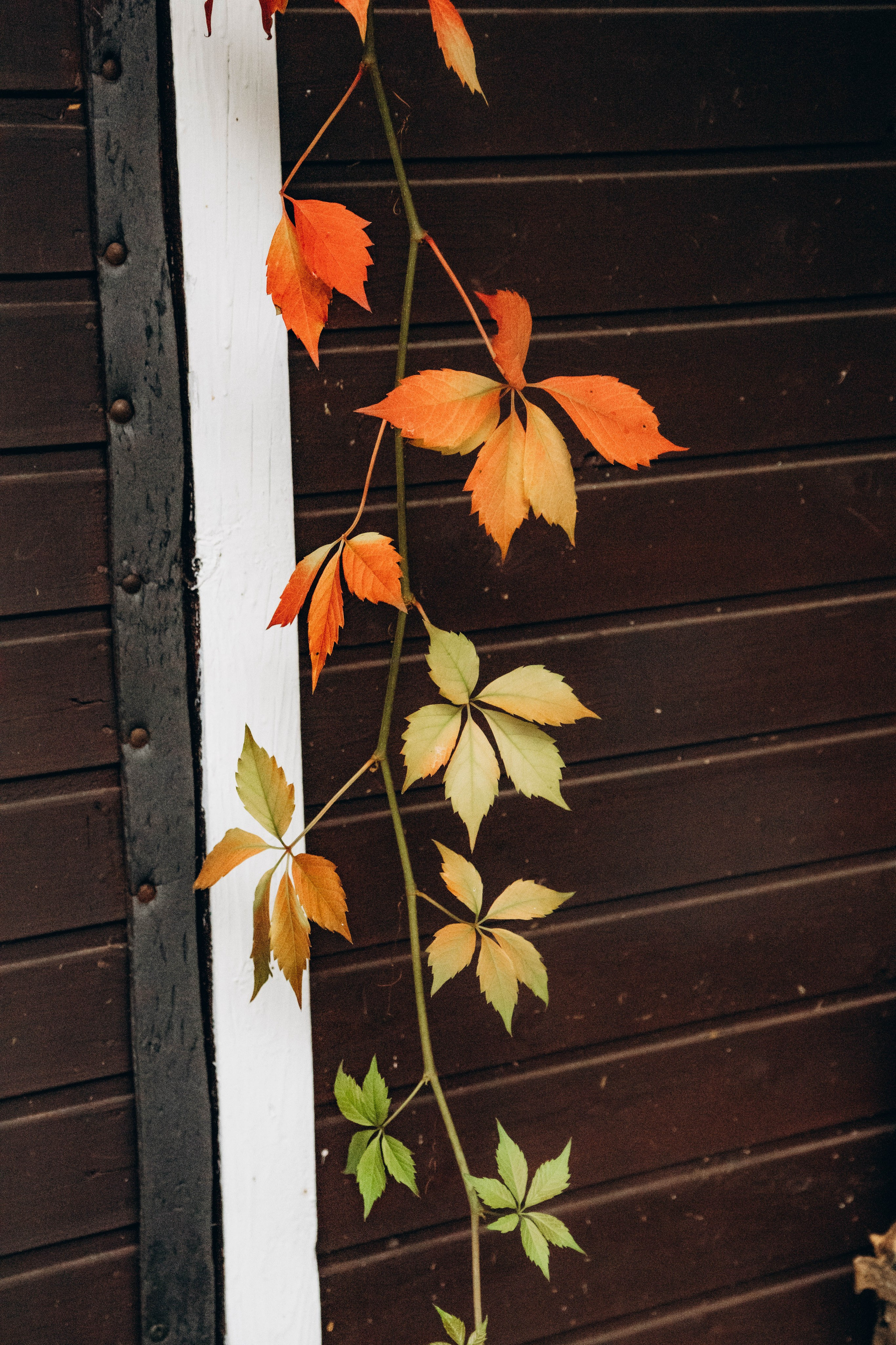 Съемка студии «Аж уютно». Фотограф Москва Валерия Веденина