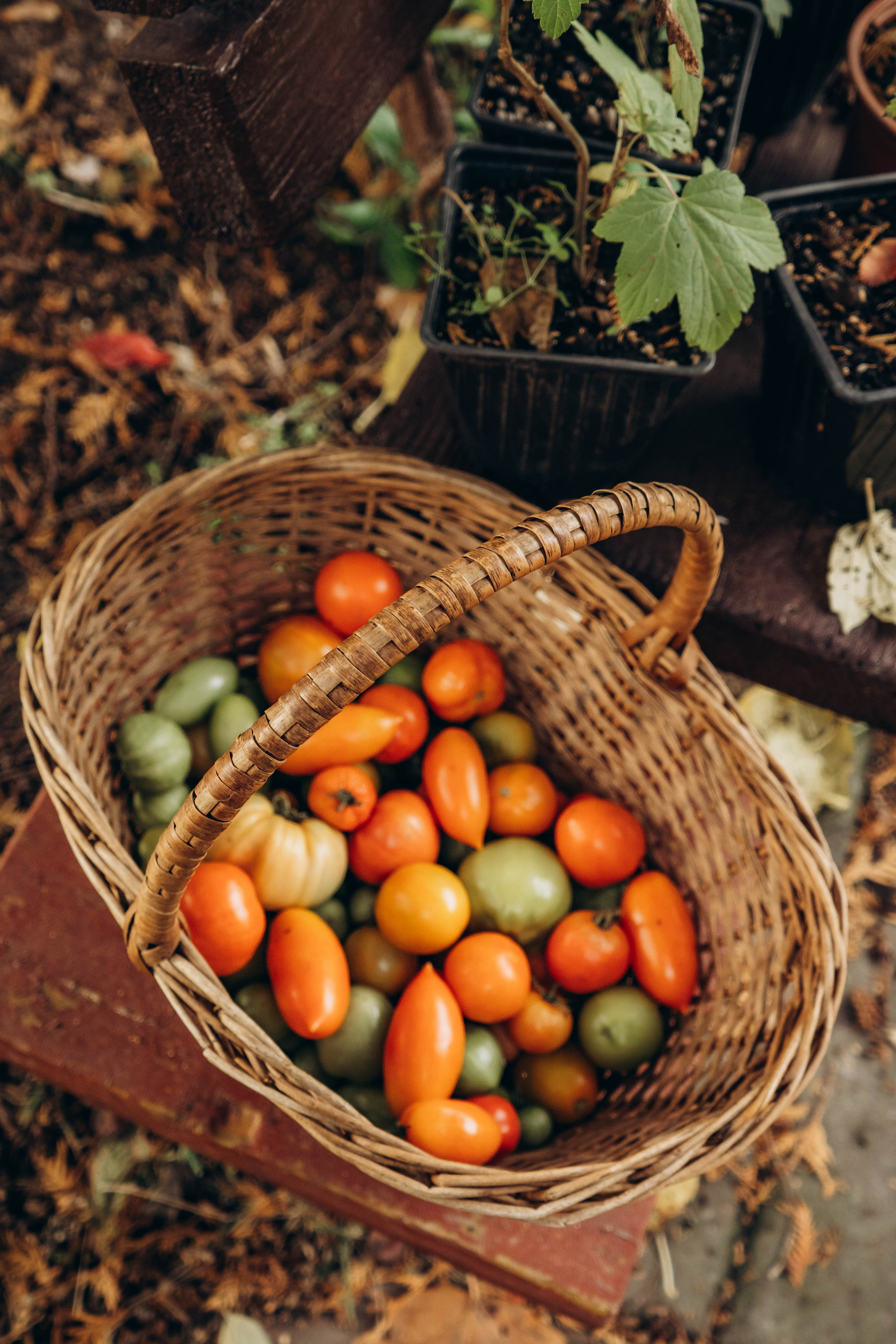 Съемка студии «Аж уютно». Фотограф Москва Валерия Веденина