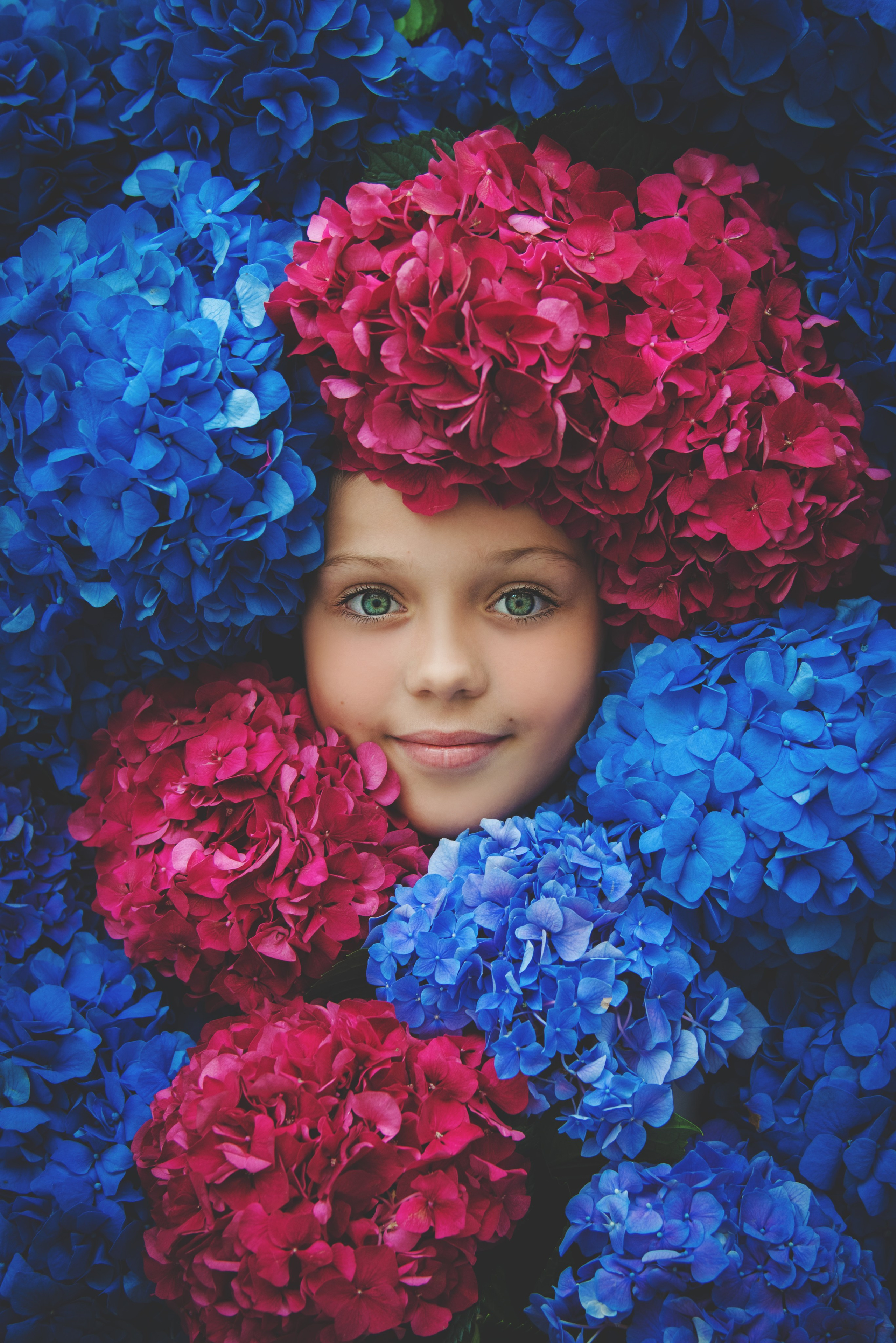 Гортензии. Фотограф новорожденных и детей в Барнауле — Екатерина Шапкина