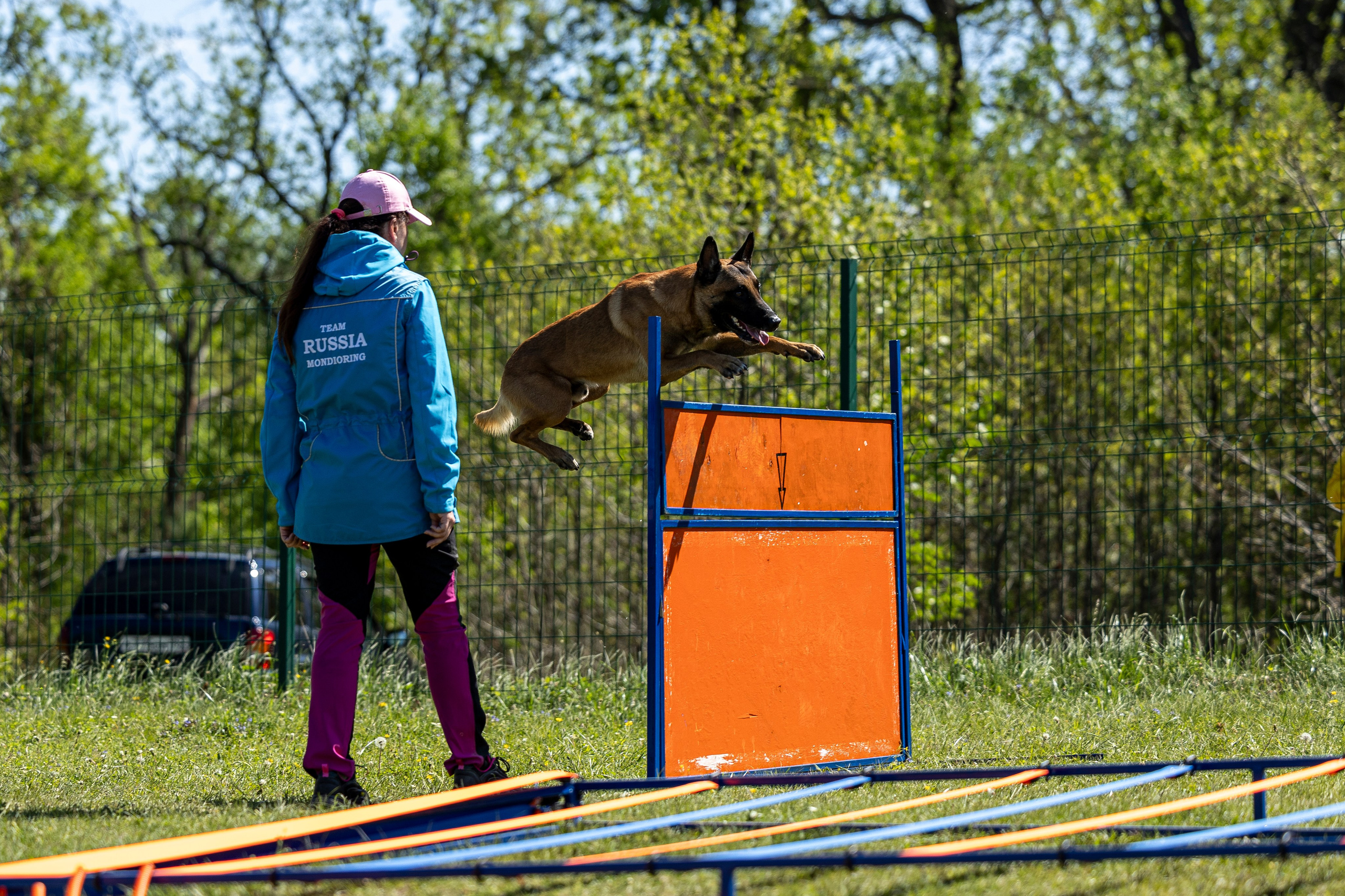 Испытания по мондьорингу в Нижнем Новгороде. Фотограф-анималист Анна Маринич