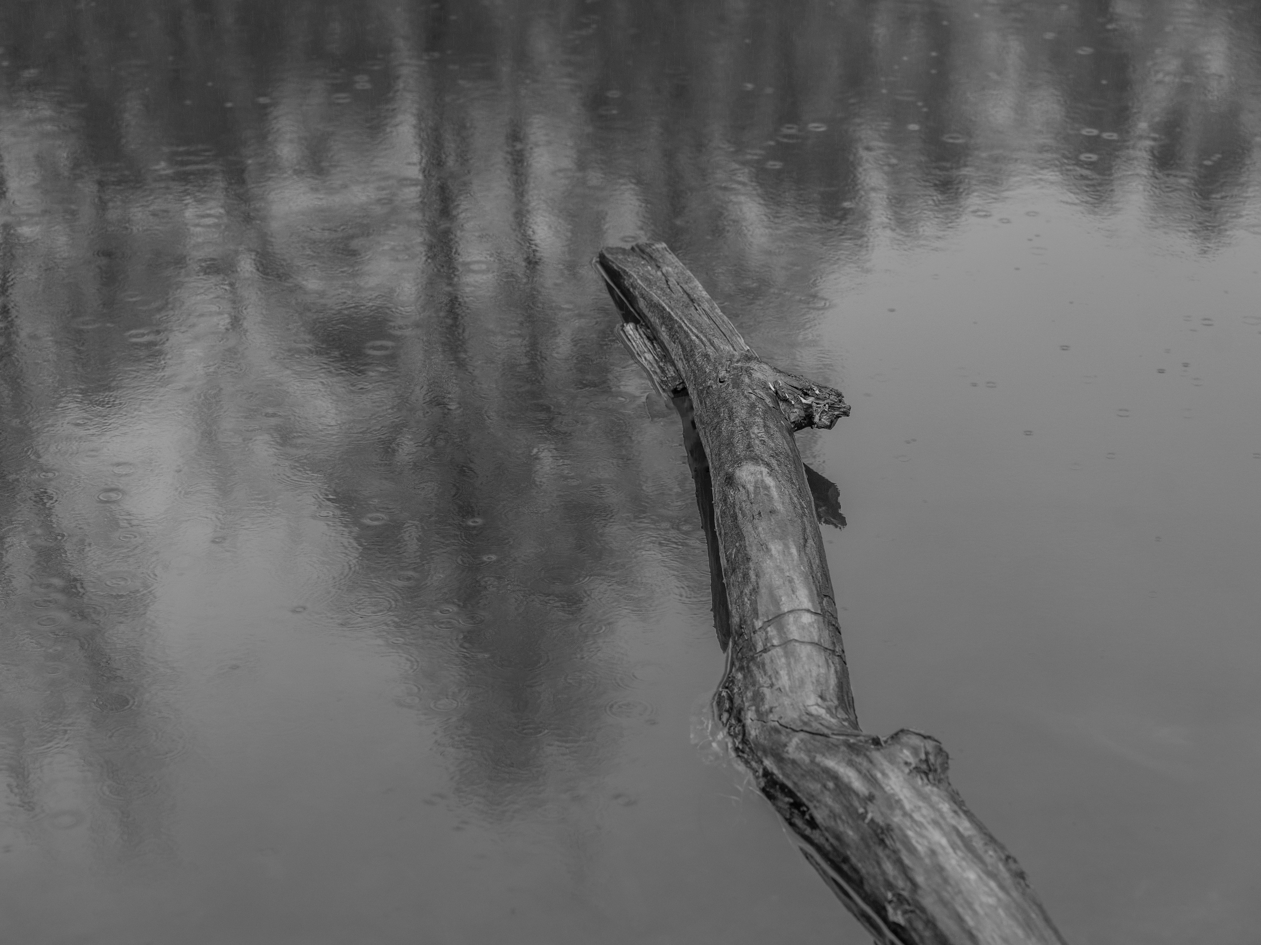 Фотографии. Ксения Доможилова