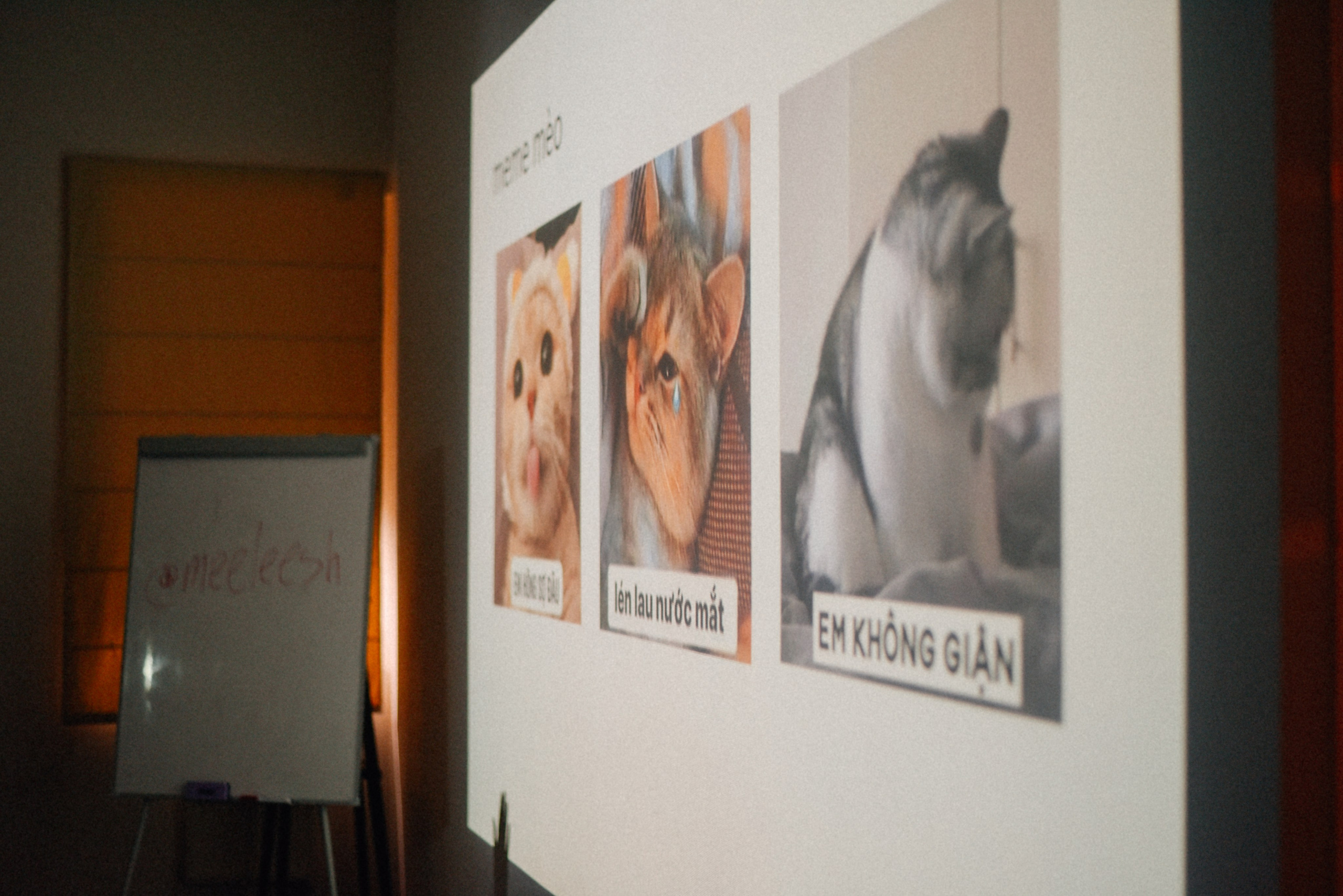 ЧТО ТЫ МЕЛЕШь Вечер вьетнамского караоке. Фотограф Лола Волна, город Москва