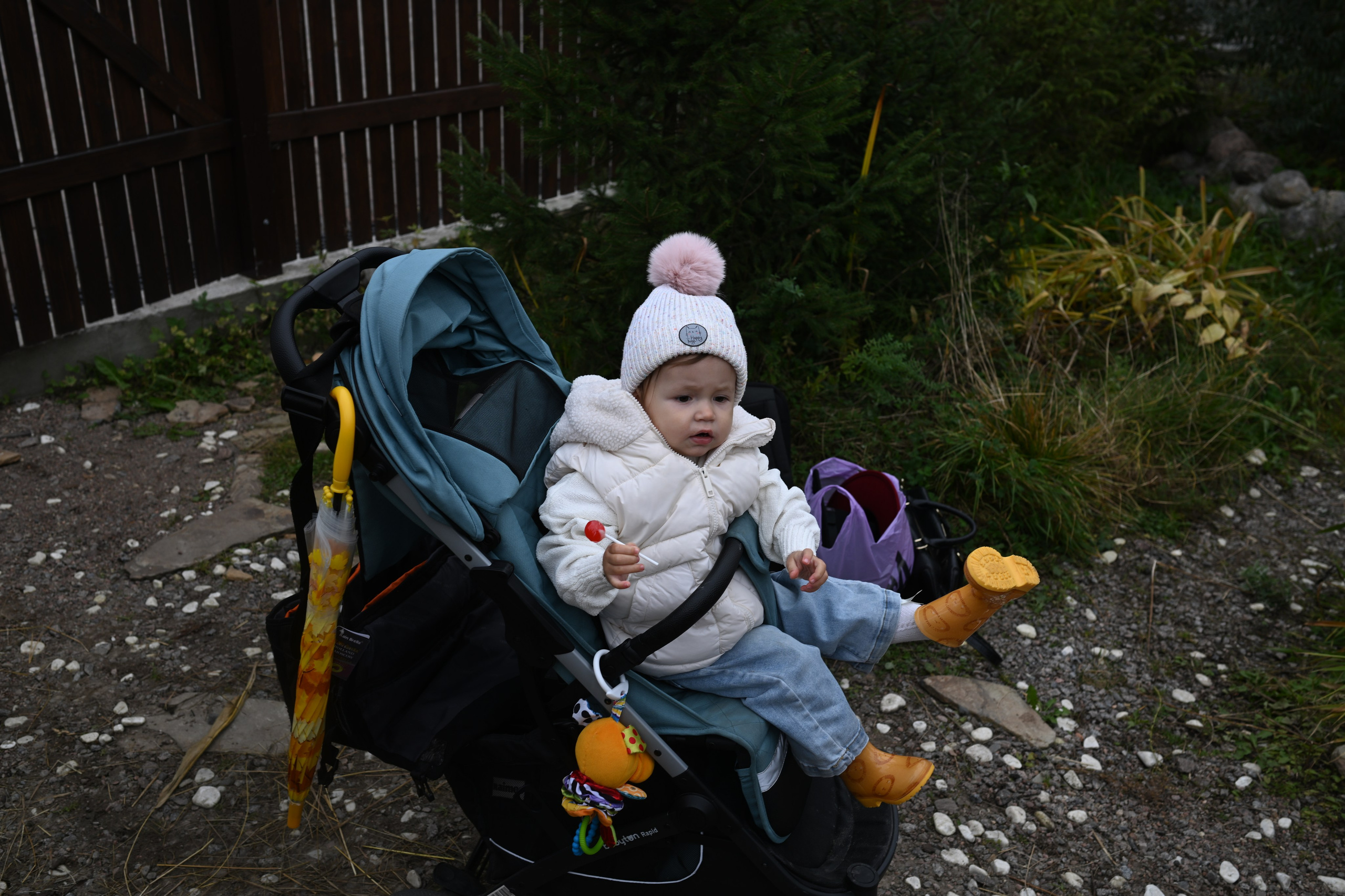 РЕГИНА ОСЕНЬ. Фотограф в Санкт-Петербурге Сафронов Николай