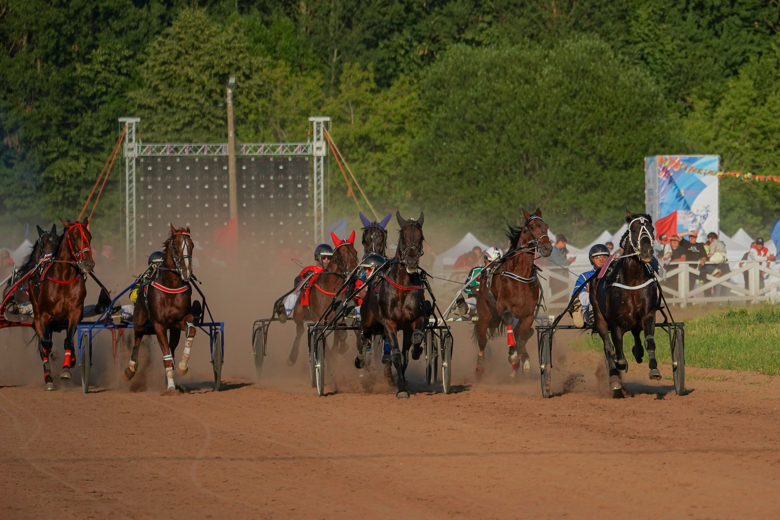 III конные бега на Кубок Главы Чувашии. Фотограф-анималист, портретный фотограф в Чебоксарах Мария Садыкова