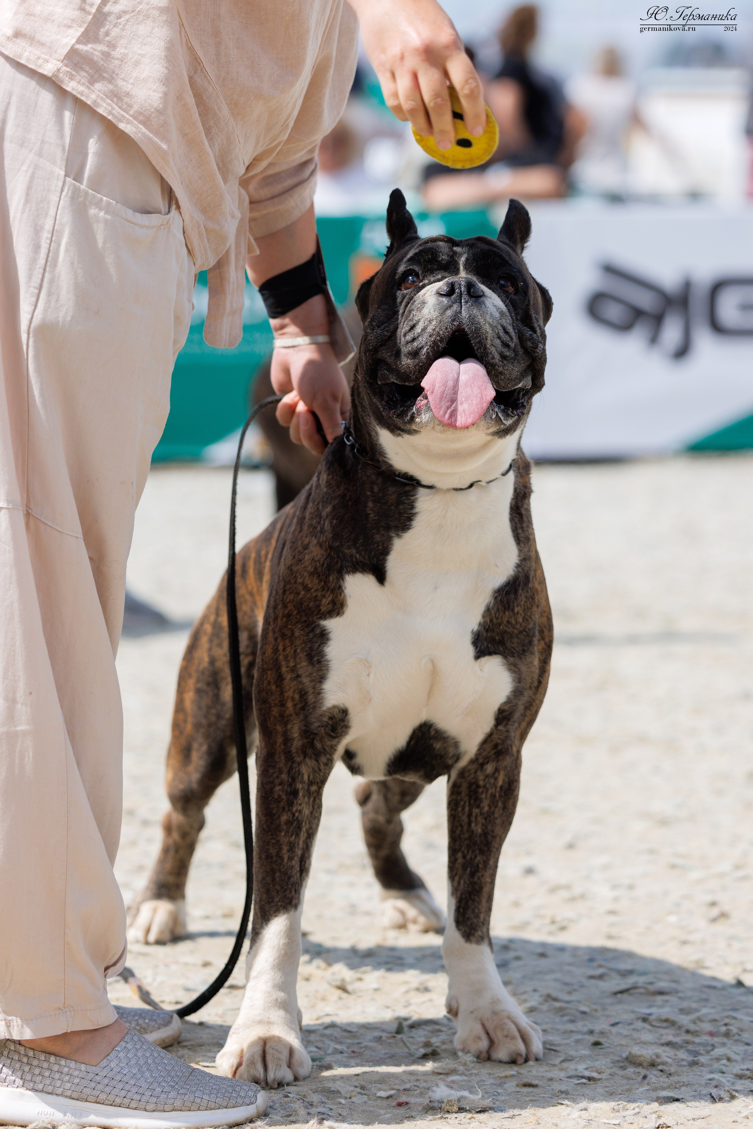 РОССИЯ 8-9.06.2024. Фотограф-анималист Юлия Германика