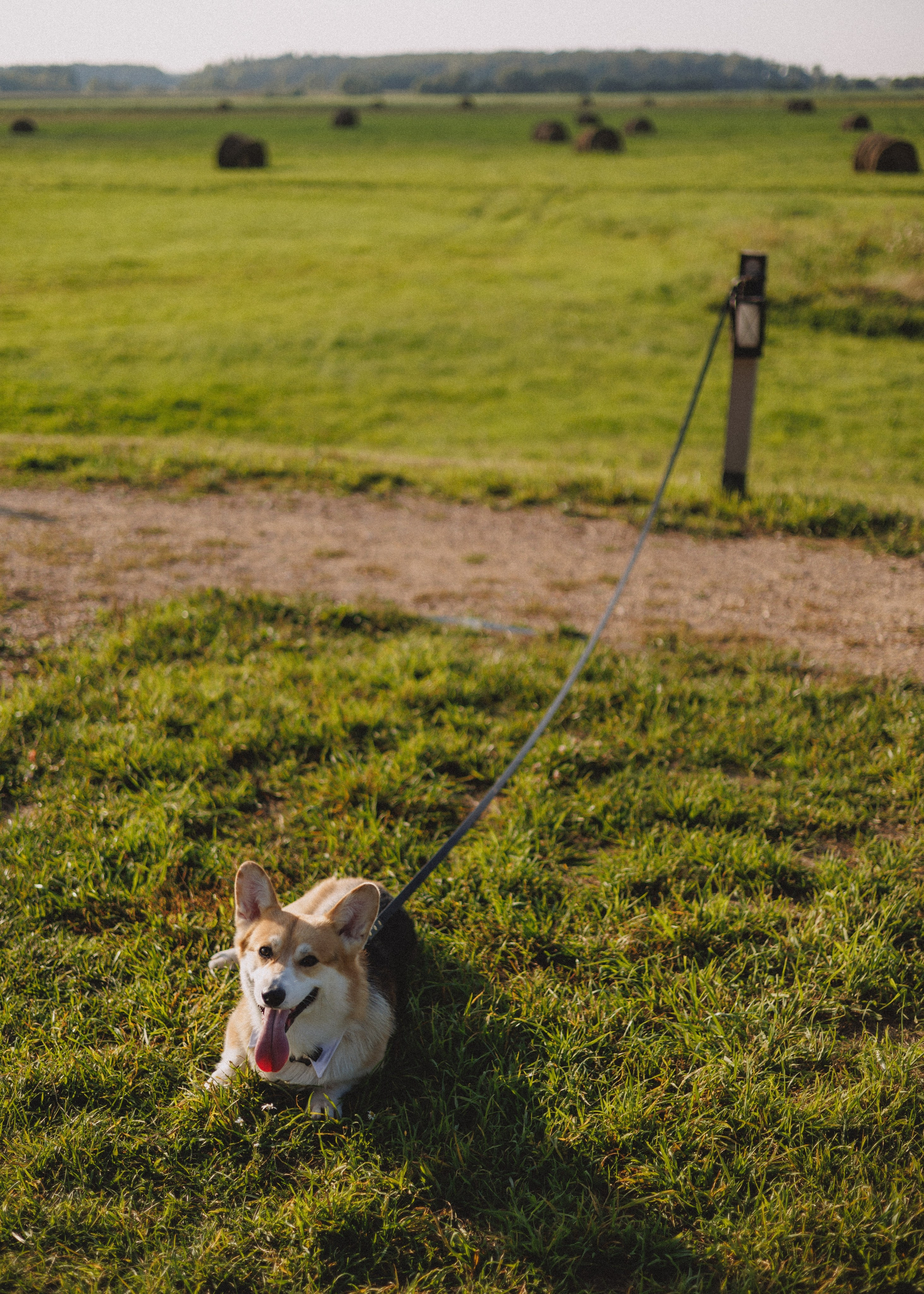 RUSSTYLE. Свадебный фотограф Владислав Адышкин