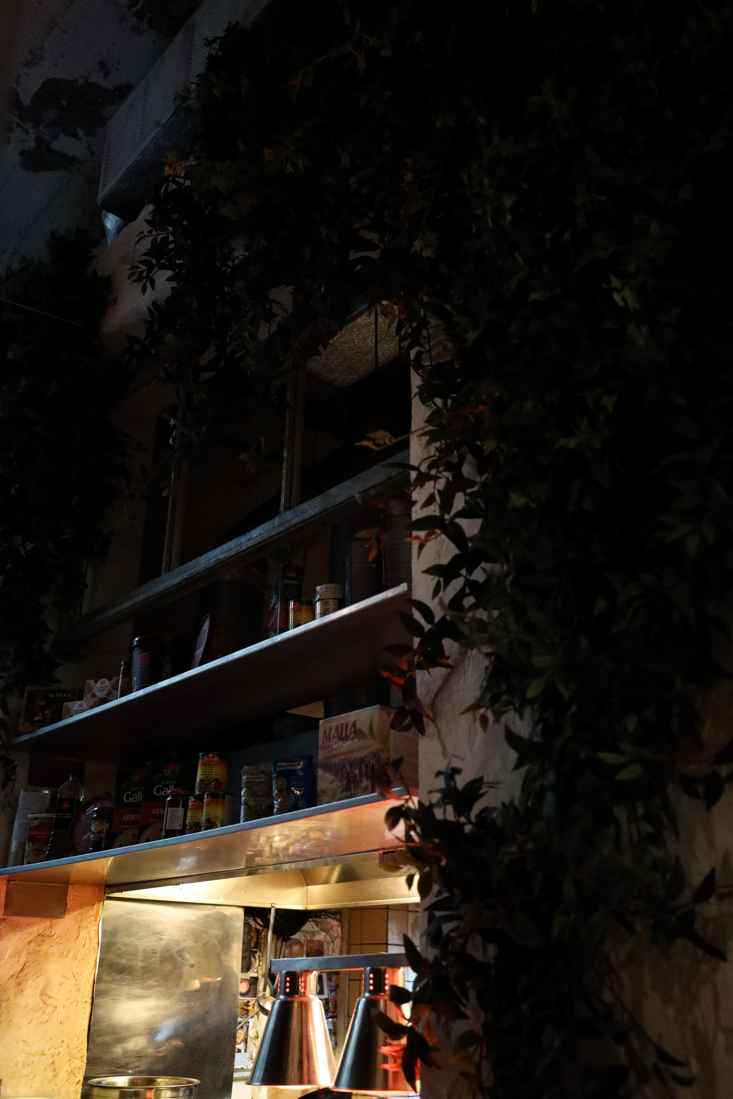 Gastrodvor 8 March. Дженбаз Павел — фотограф в Ялте