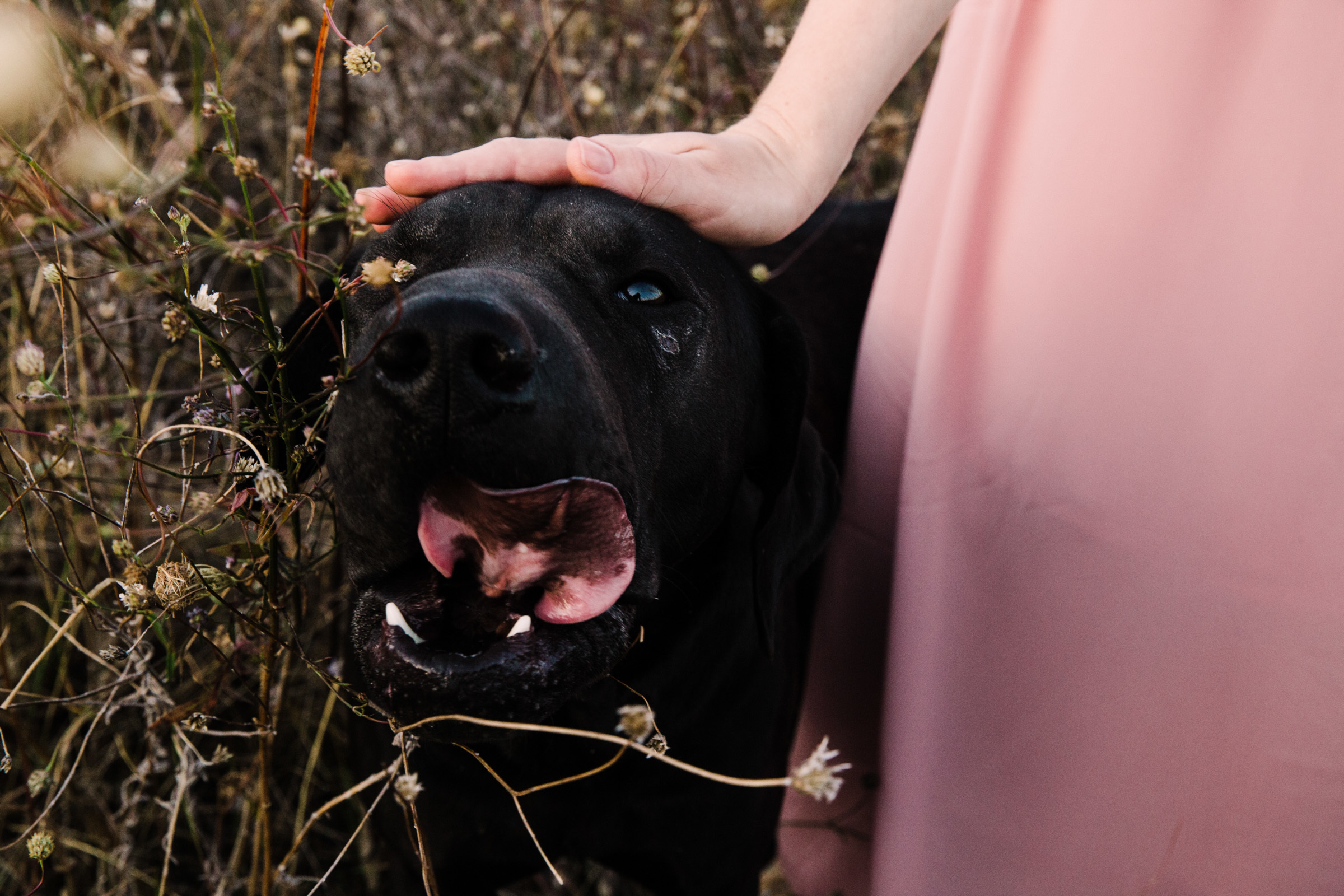 Мгновение в лучах солнца // Мария. Фотограф Алутера Ирина