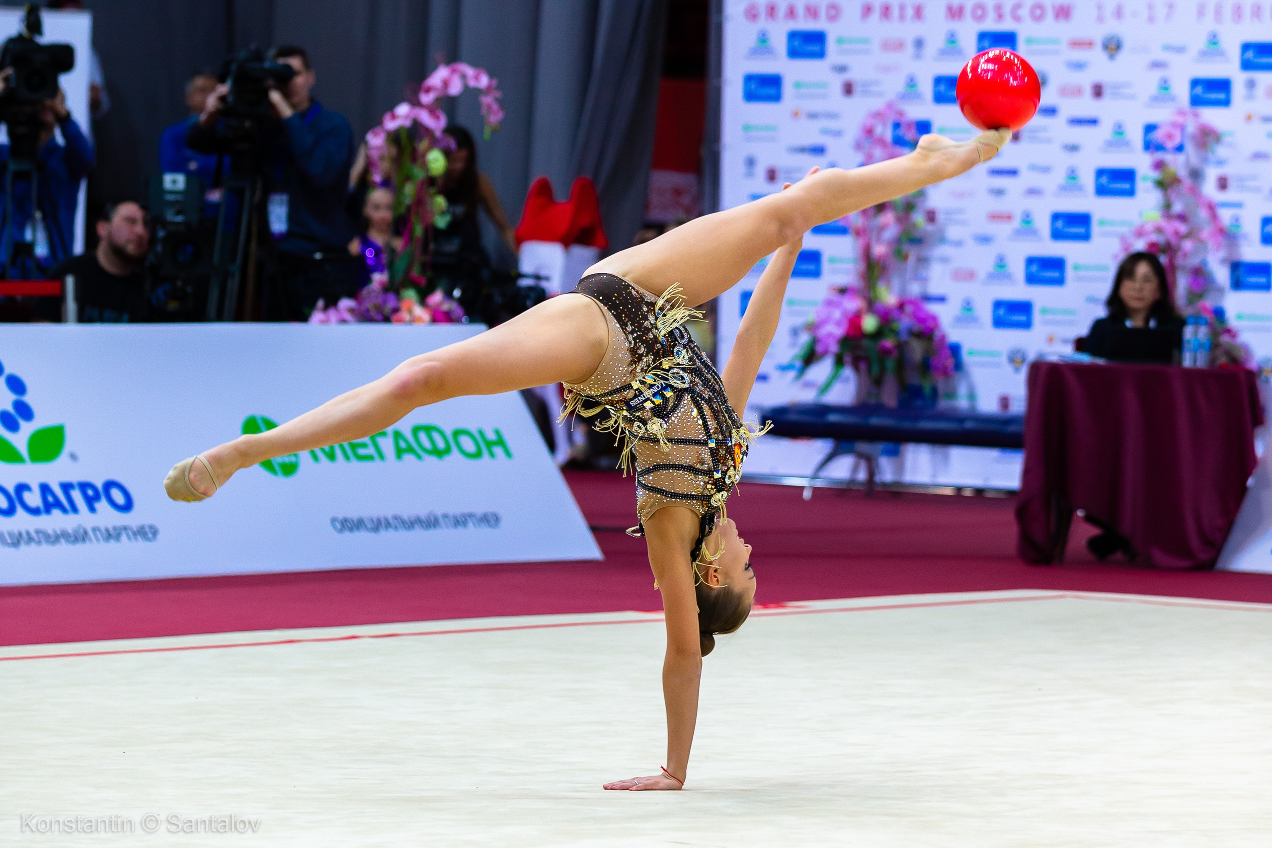 Grand Prix Moscow 2019. GYM-PHOTO. Спорт в кадре
