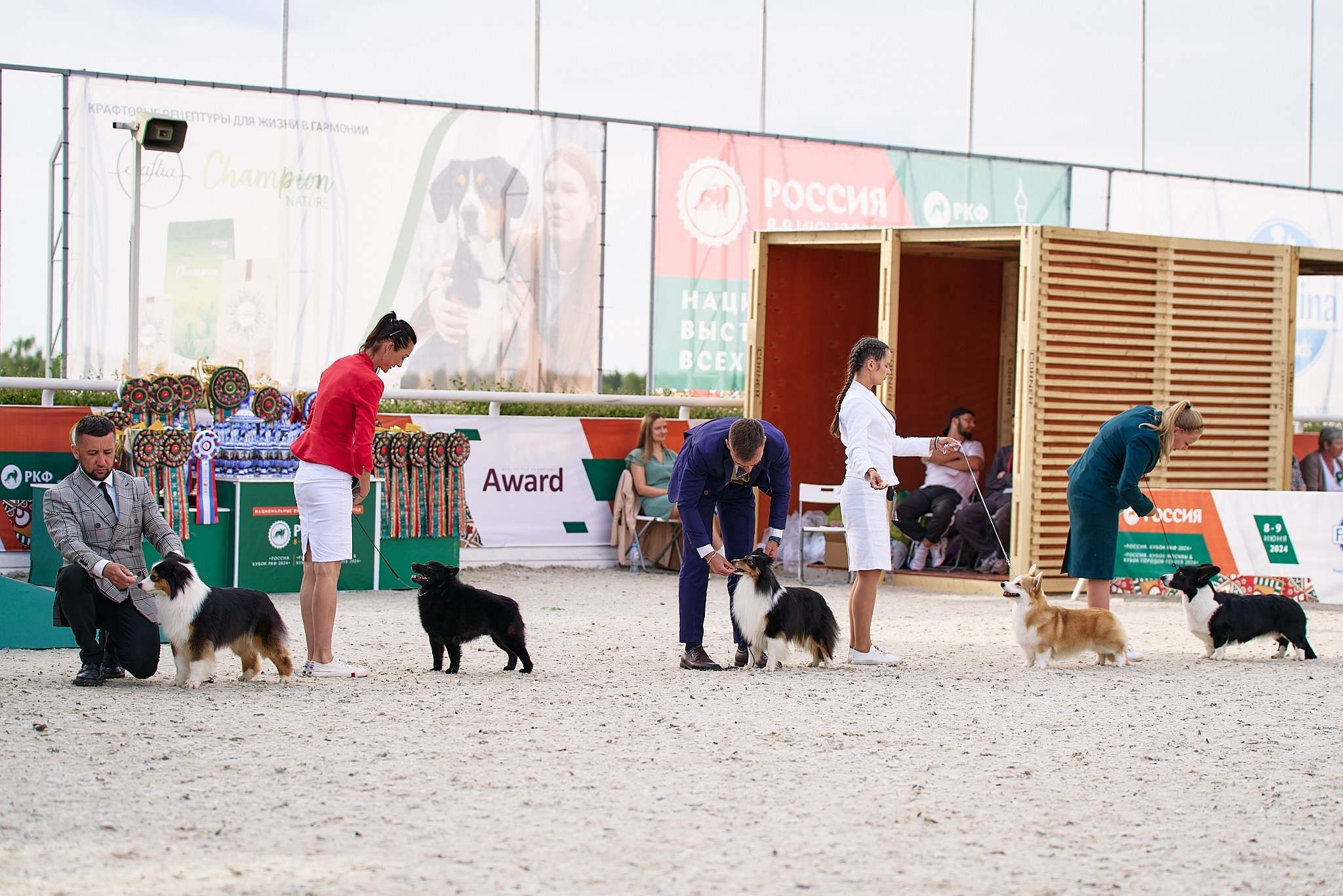 09.06.2024, «РОССИЯ. КУБОК МОСКВЫ 2024 & КУБОК ГОРОДОВ-ГЕРОЕВ»