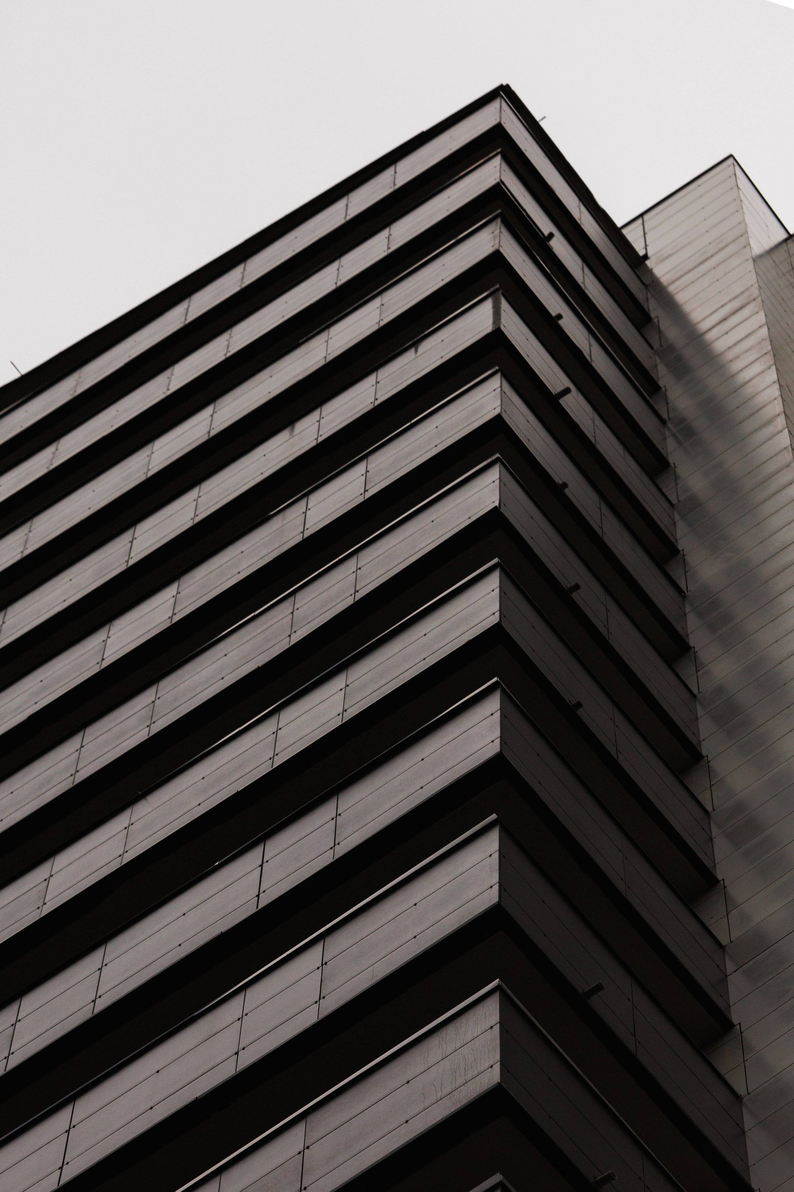 РЕНОВАЦИЯ — МОЛОДЦОВА 25. АЛТ Портфолио