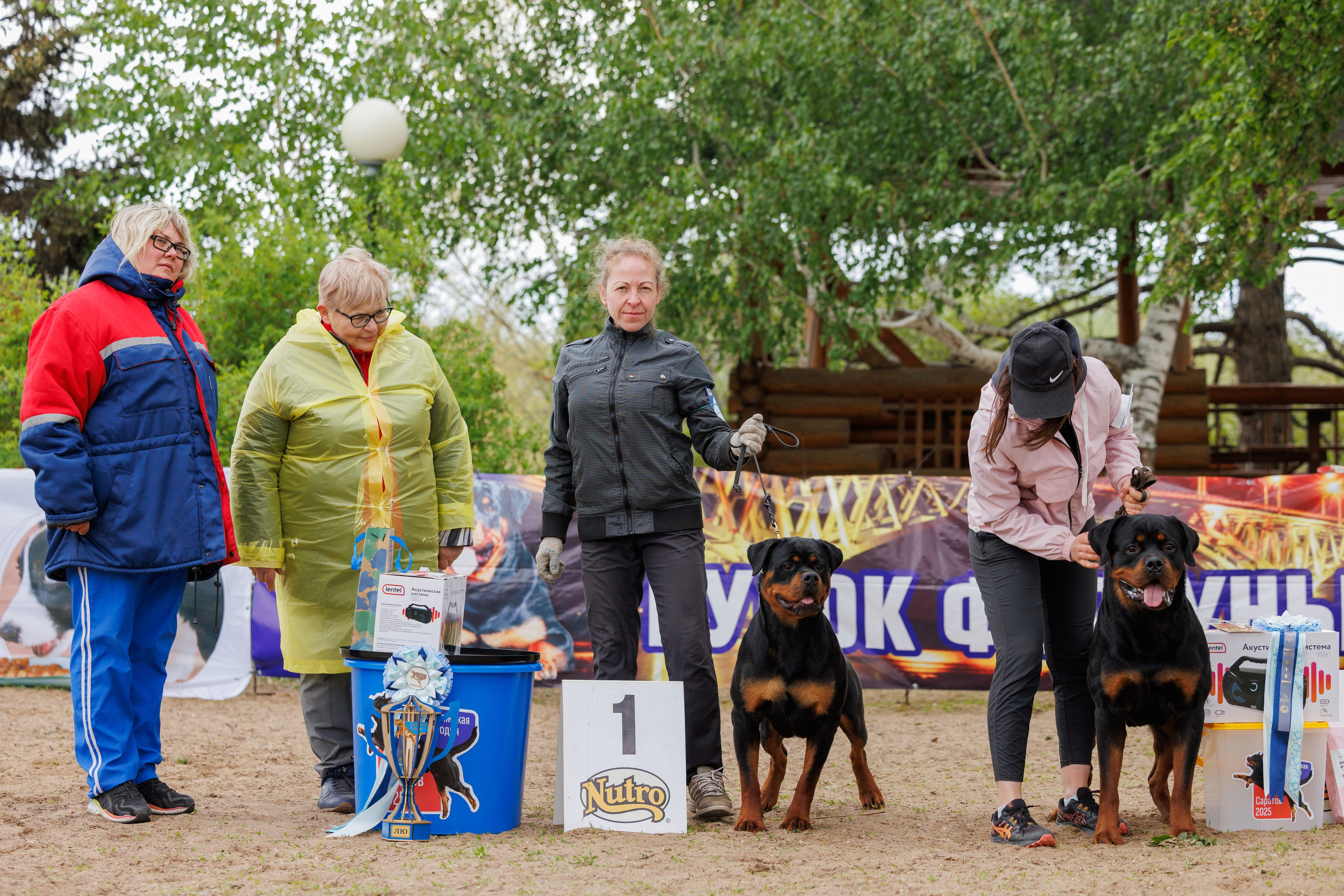 Саратов моно ротвейлеров 26-27.04.2025. Фотограф-анималист Юлия Германика