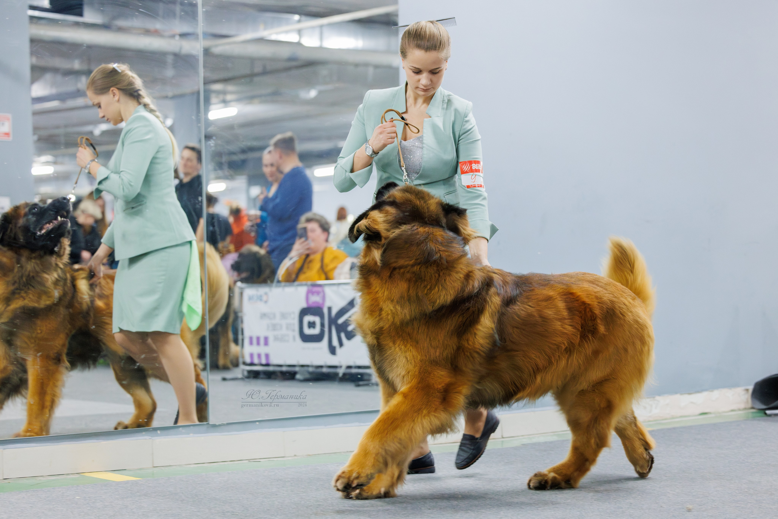 Крокус 21.12.2024,Сфера 29.12.2024. Фотограф-анималист Юлия Германика