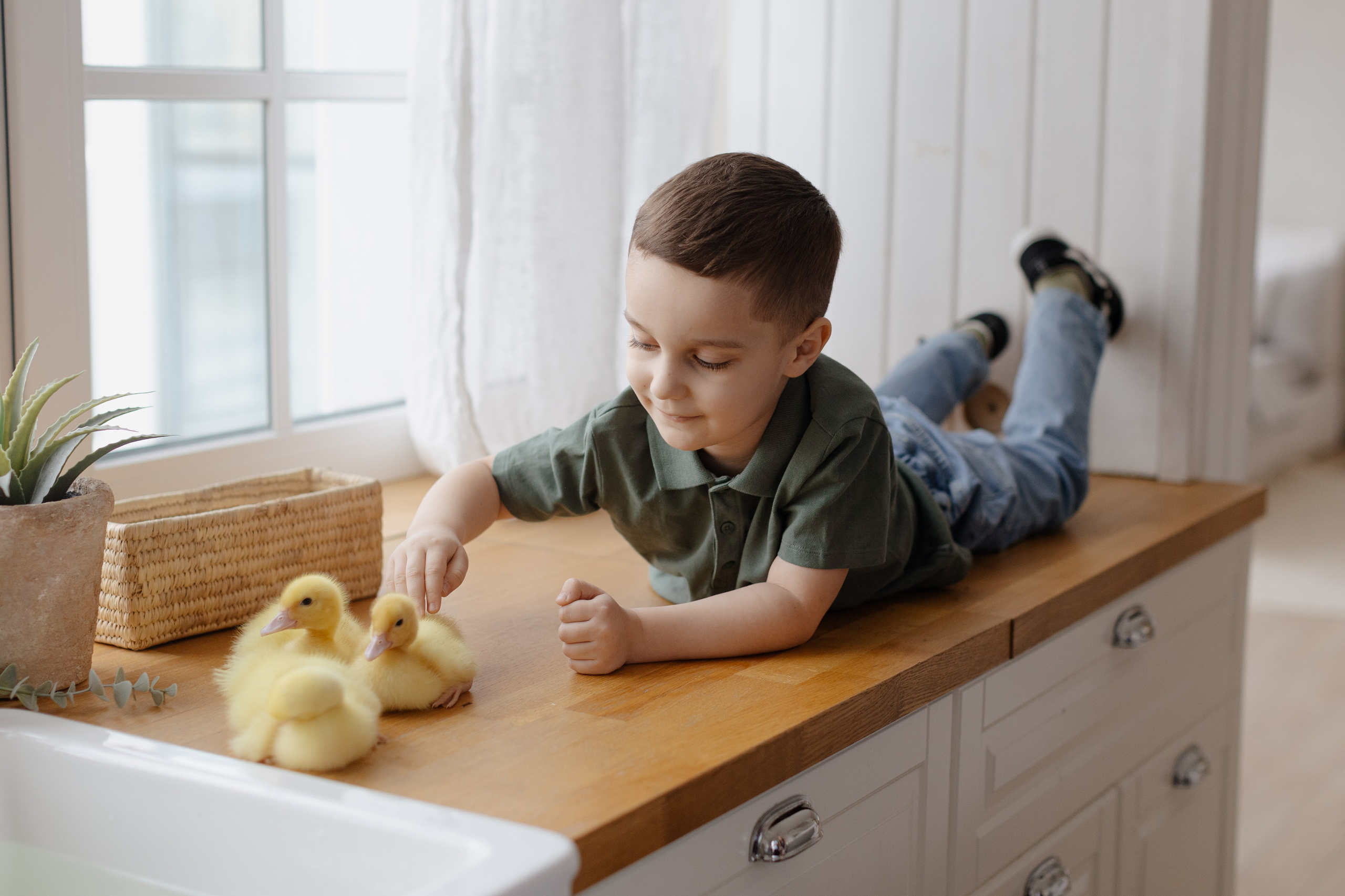 Пасхальные. @dariazphotodays