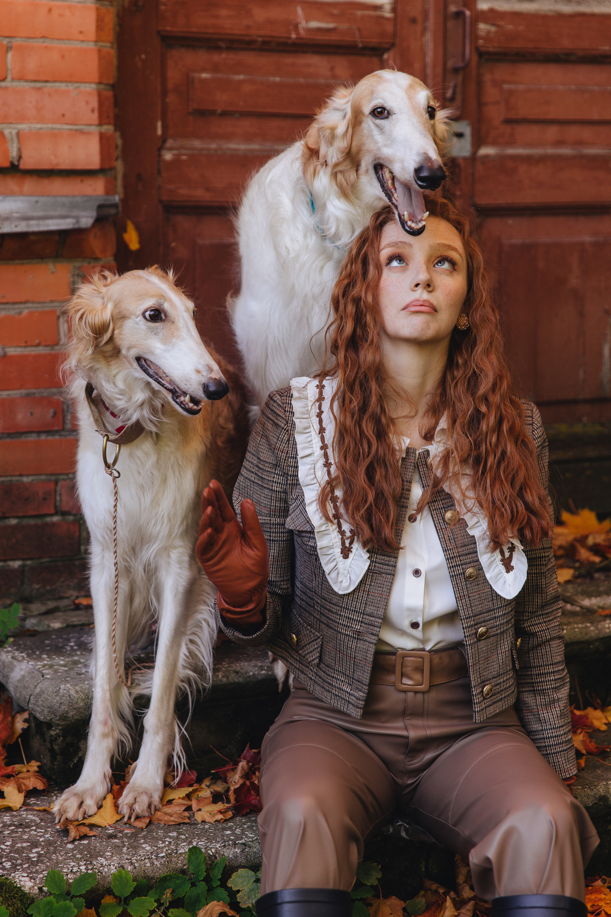 Фотосессия с собаками. Свадебный фотограф в Санкт-Петербурге