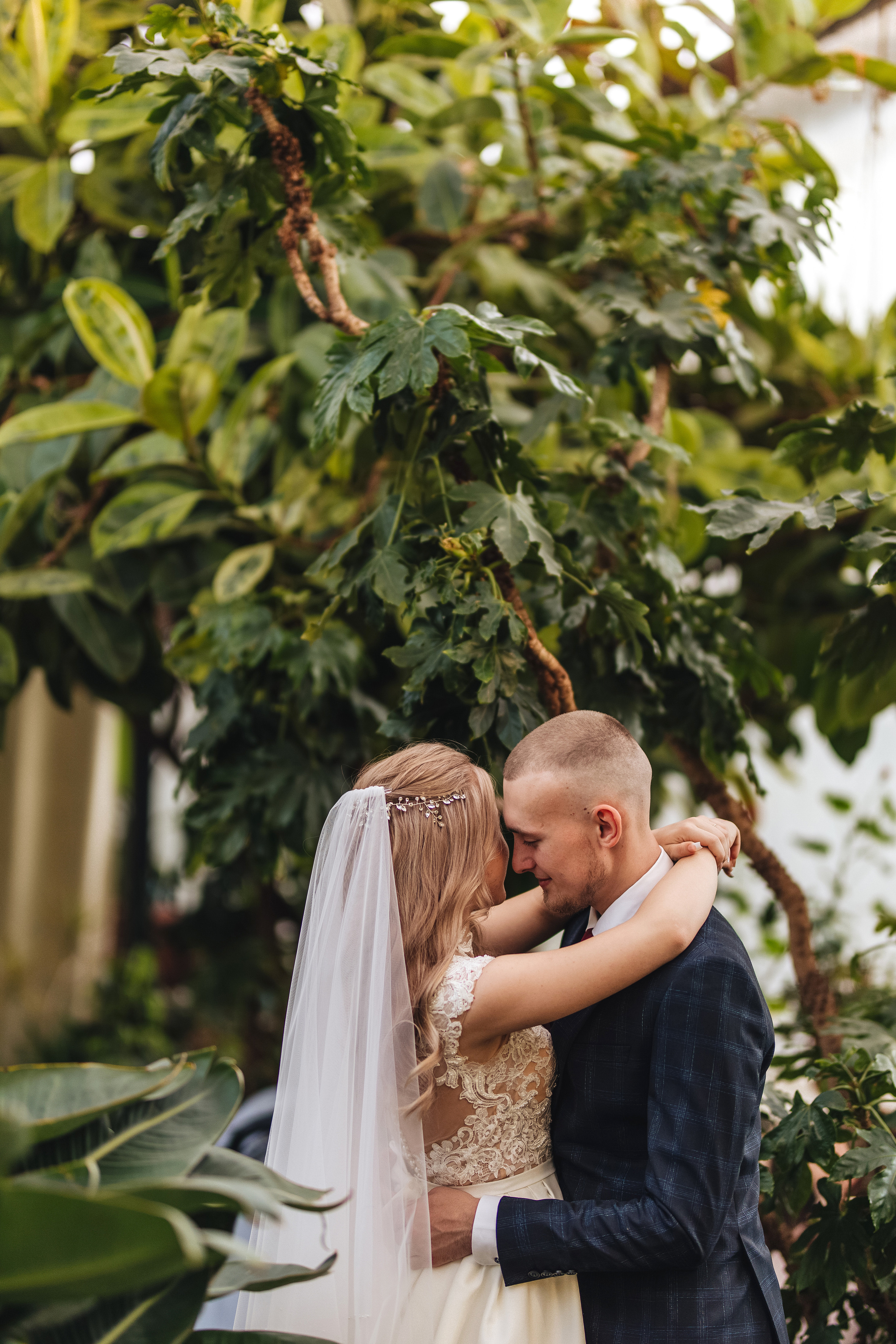 Оранжерея Таврического сада. Свадебный фотограф в Санкт-Петербурге