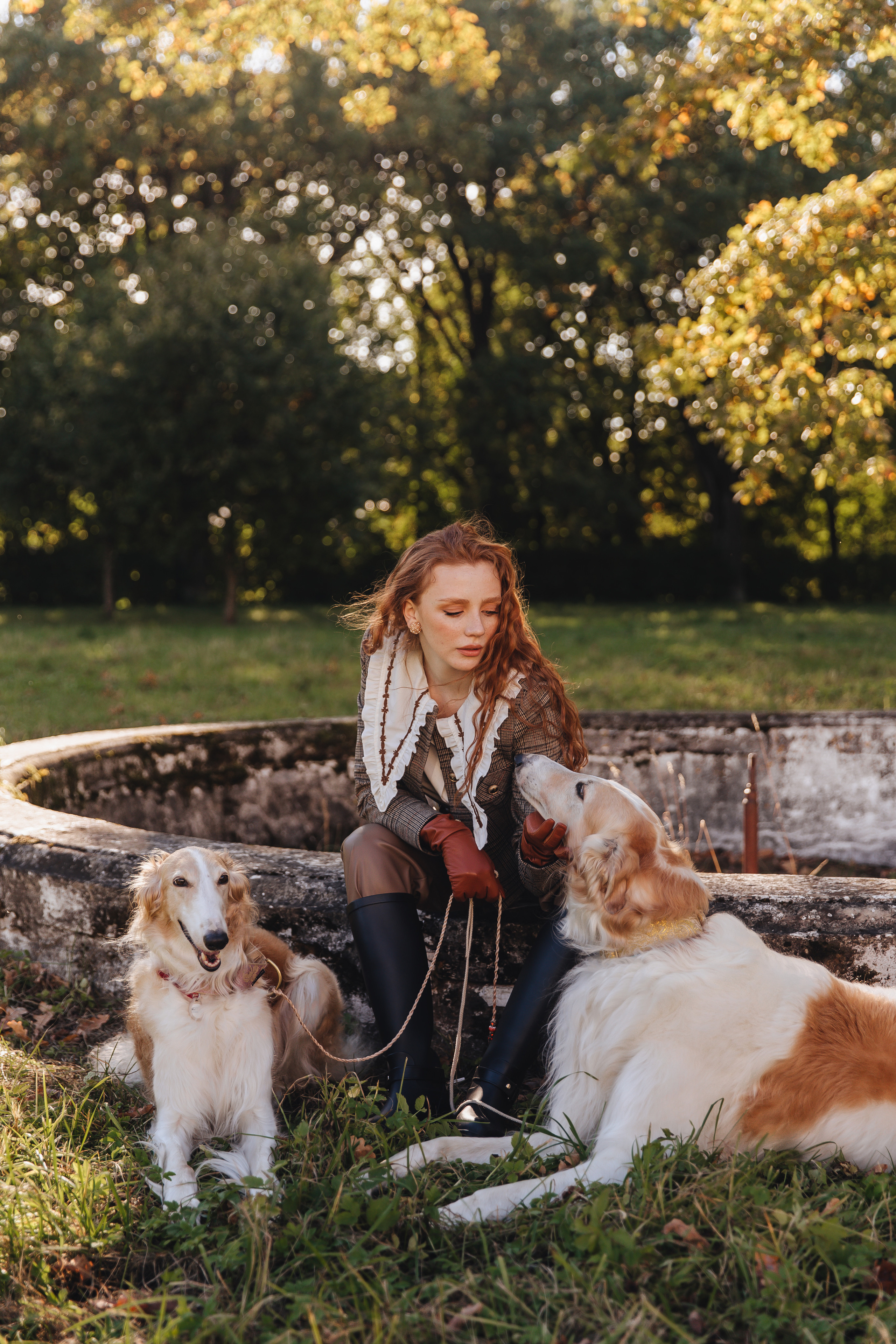Фотосессия с собаками. Свадебный фотограф в Санкт-Петербурге