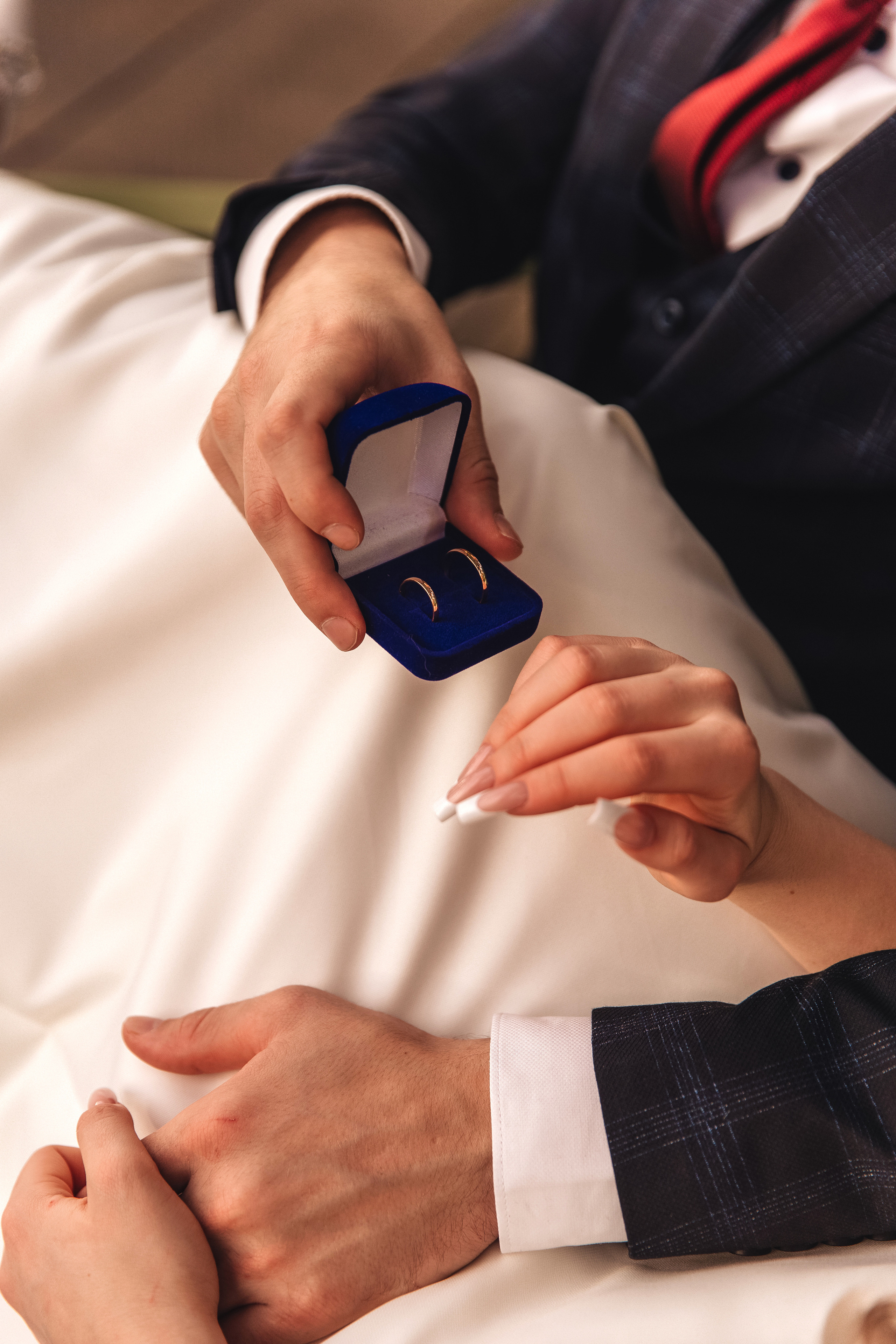 Оранжерея Таврического сада. Свадебный фотограф в Санкт-Петербурге