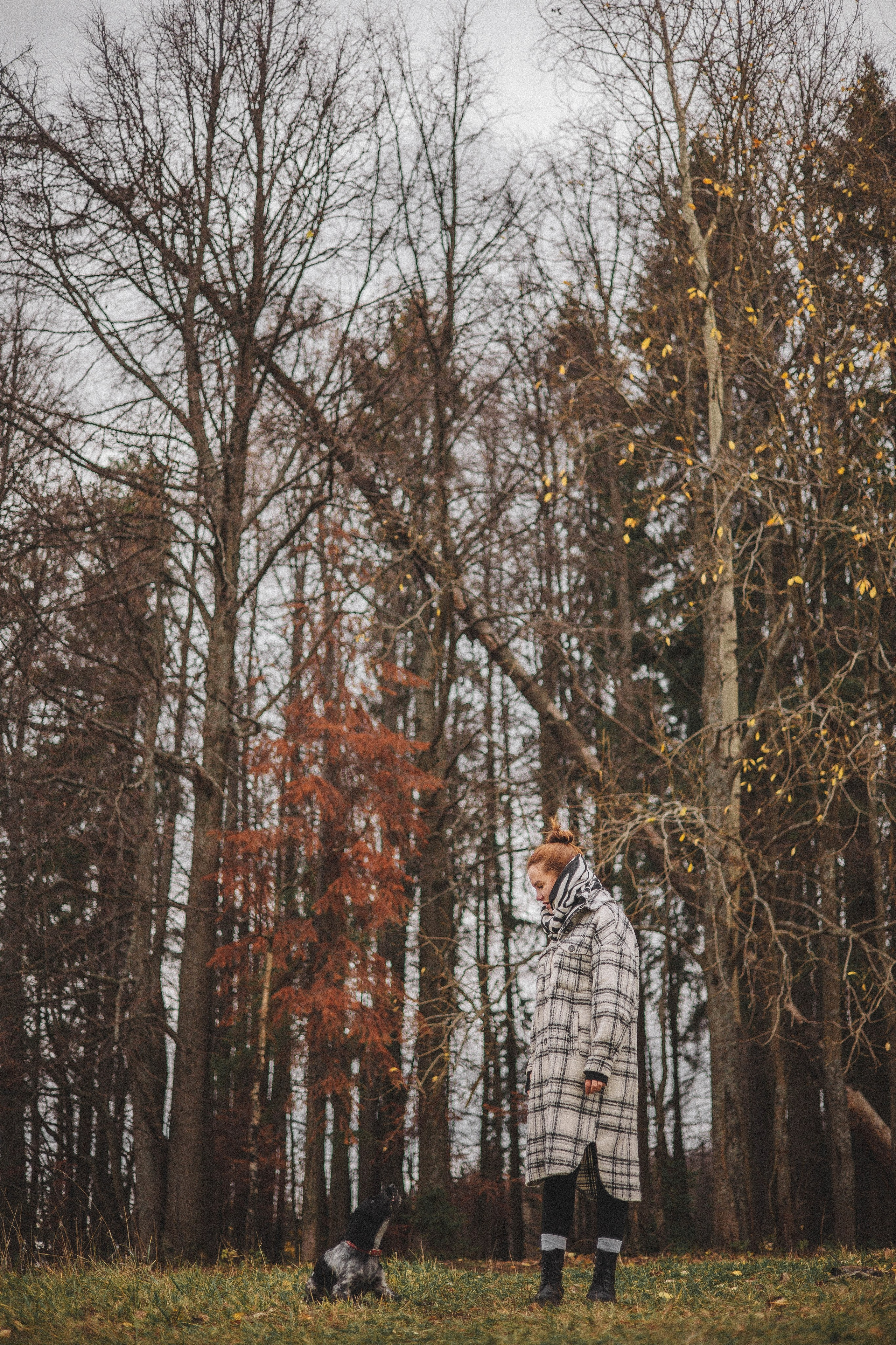 Вика и Ава. Фотограф-анималист Богданова Полина