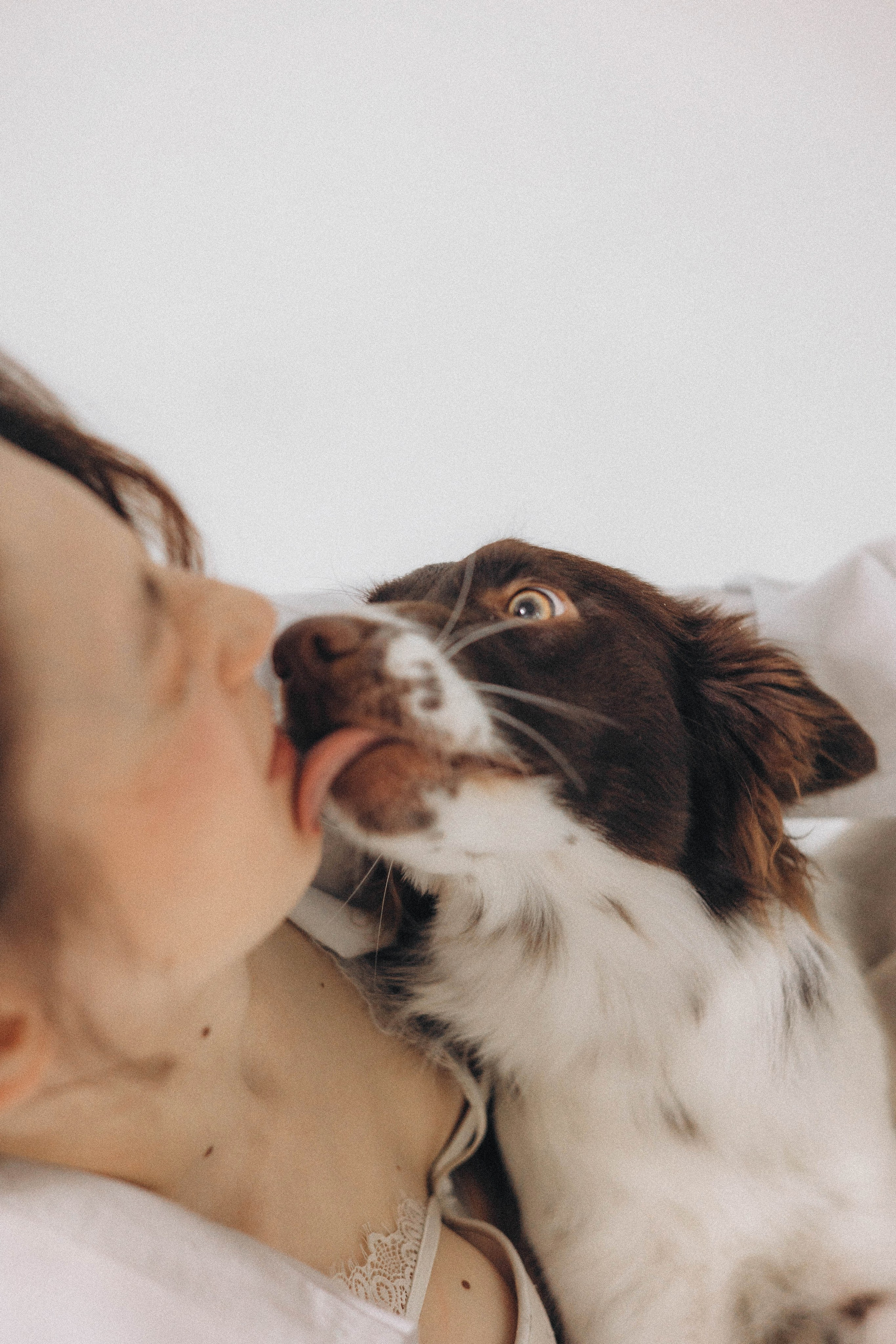 Алена и Гвендолин. Фотограф-анималист Богданова Полина