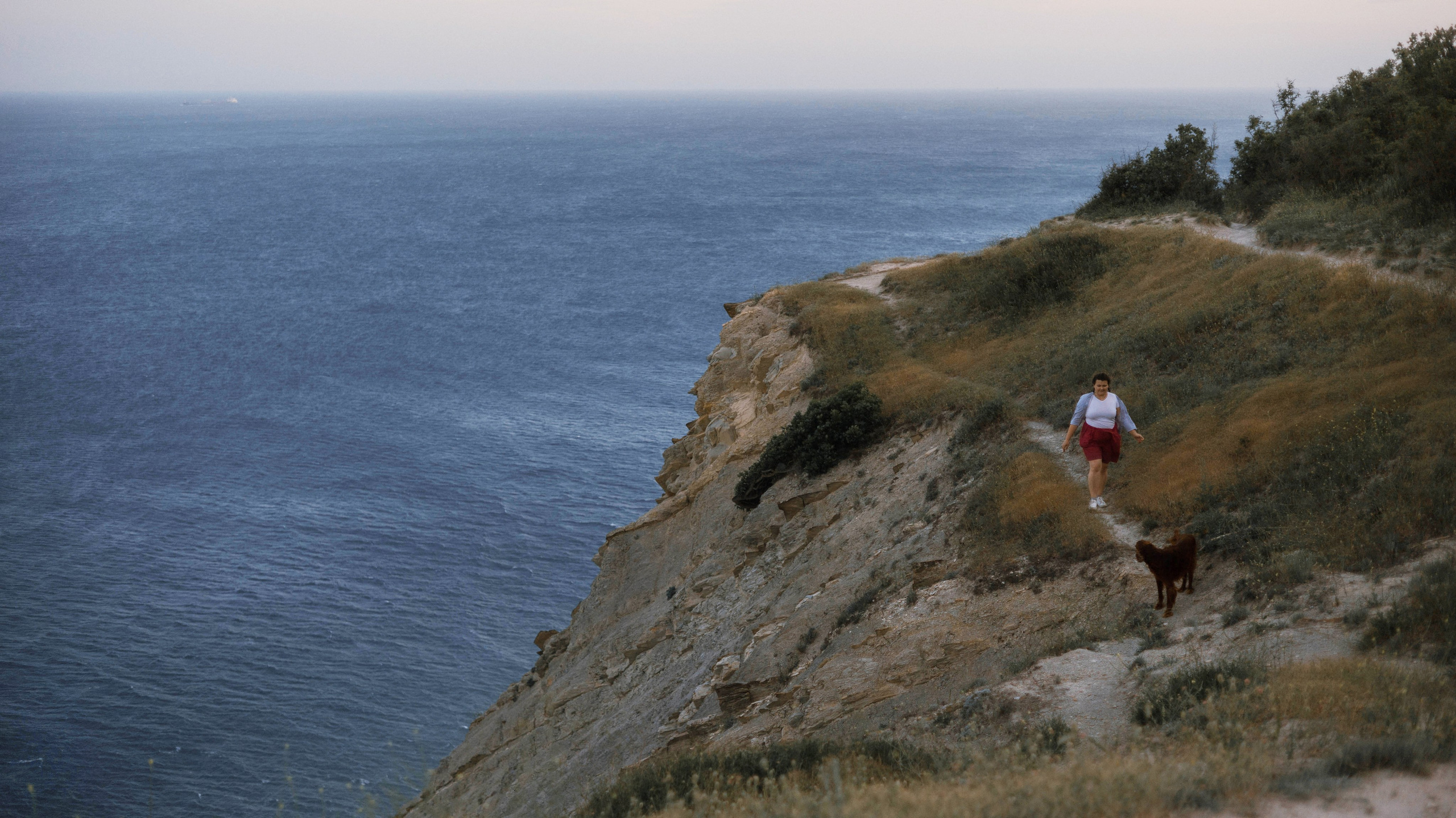 Ольга и Шеймас. Фотограф-анималист Богданова Полина