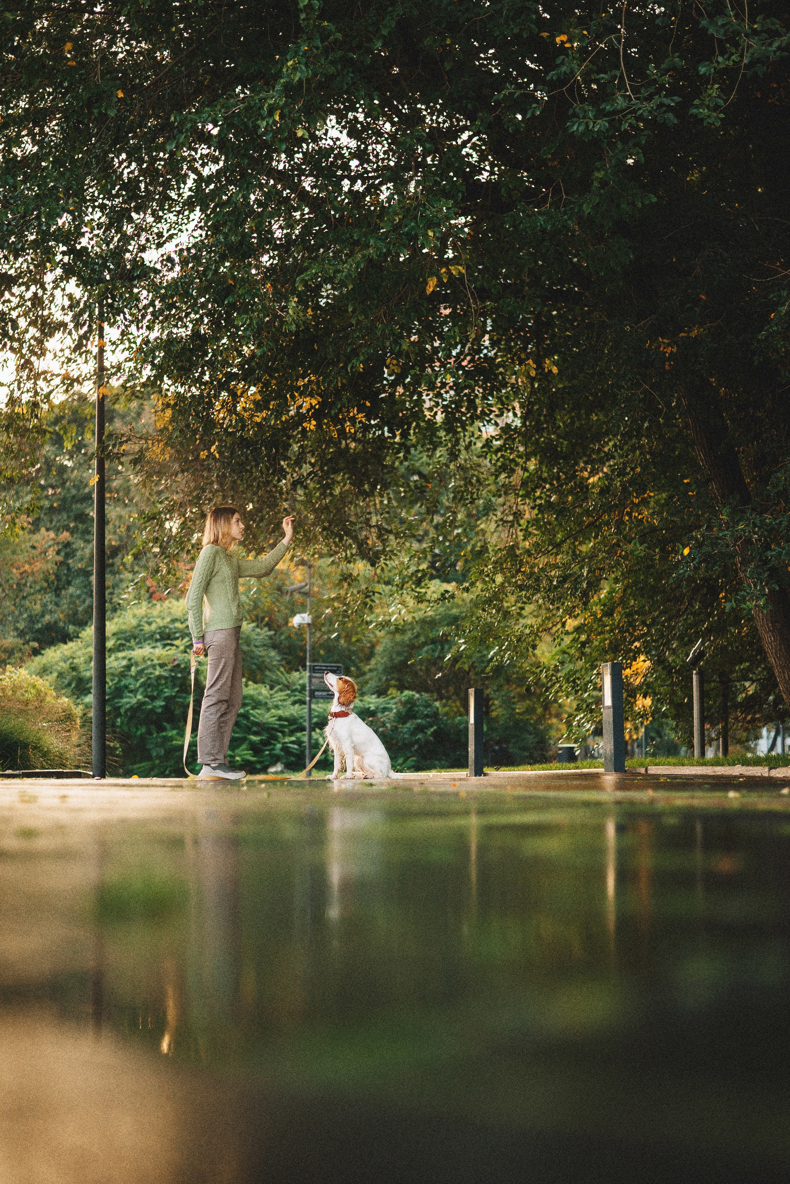 Маша и Вега. Фотограф-анималист Богданова Полина
