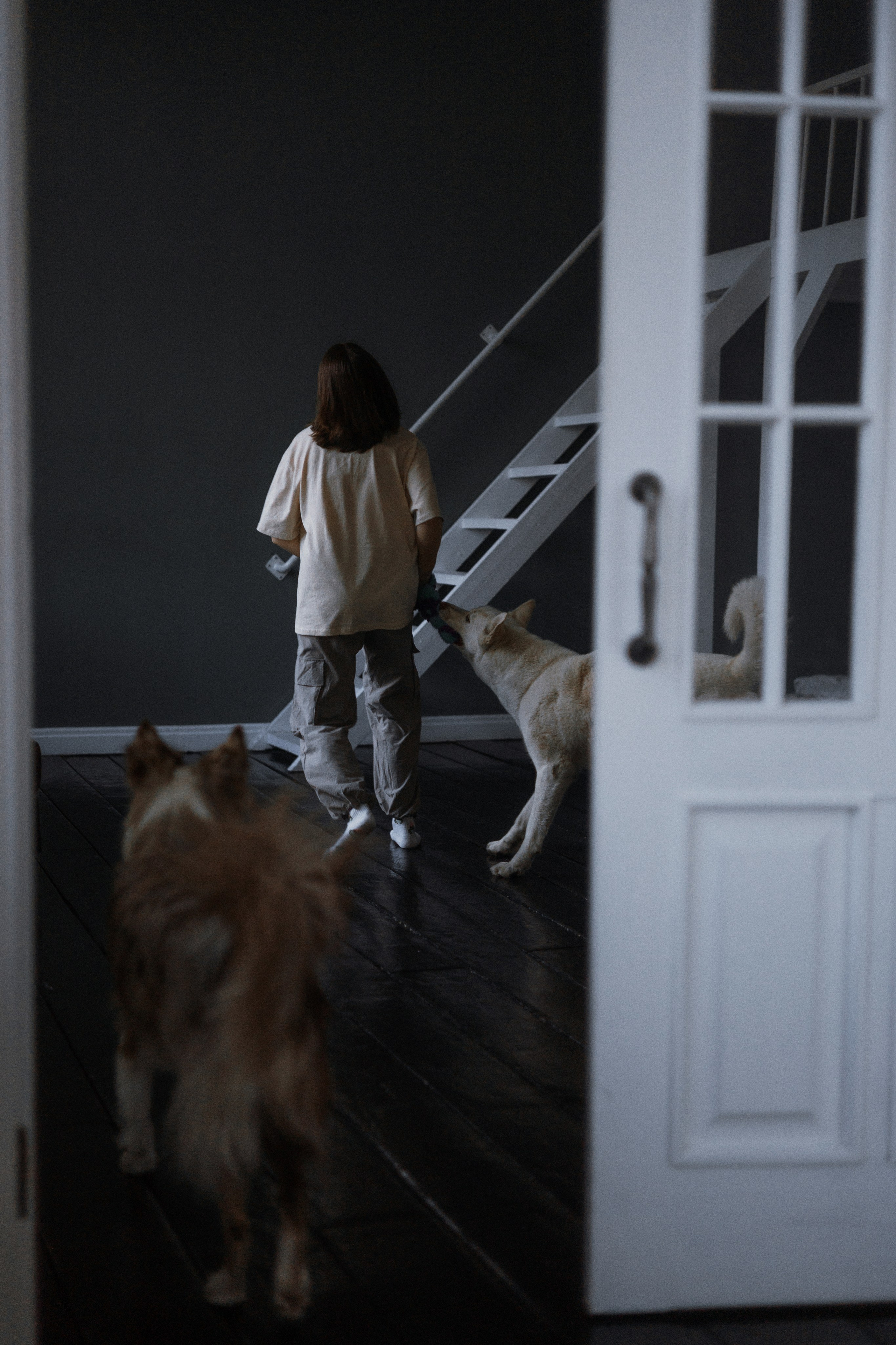 Аня, Дэймон и Грэй. Фотограф-анималист Богданова Полина