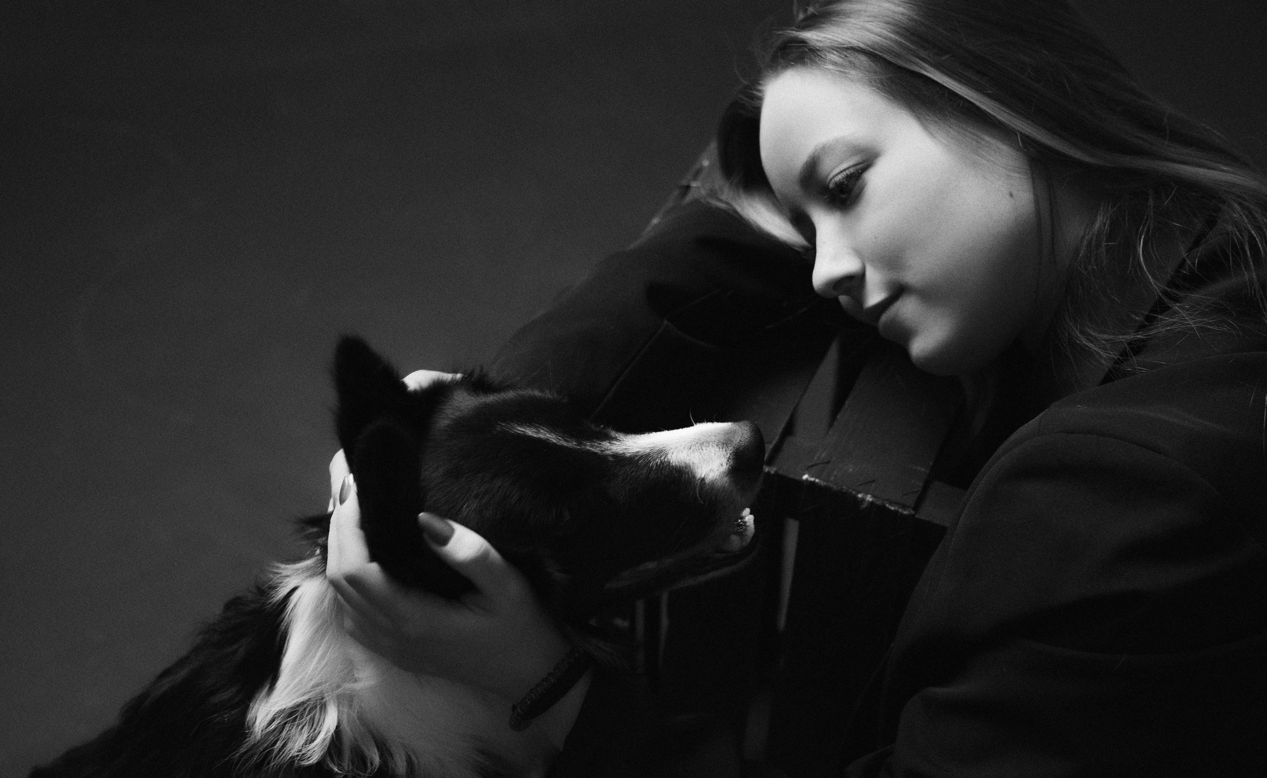 Даша, Дже и Рива. Фотограф-анималист Богданова Полина