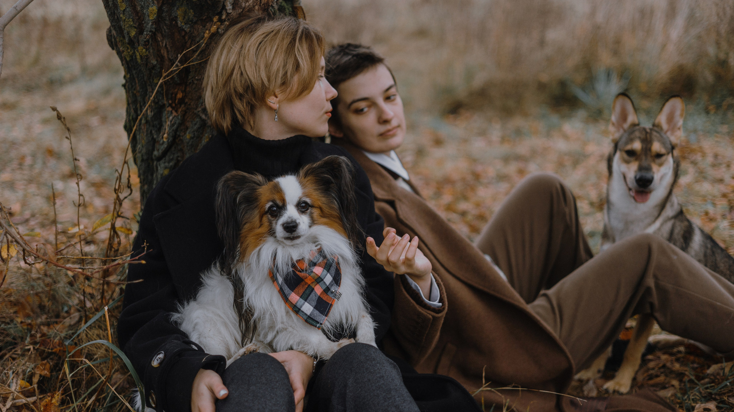 Маша, Катя, Астрид и Мася. Фотограф-анималист Богданова Полина